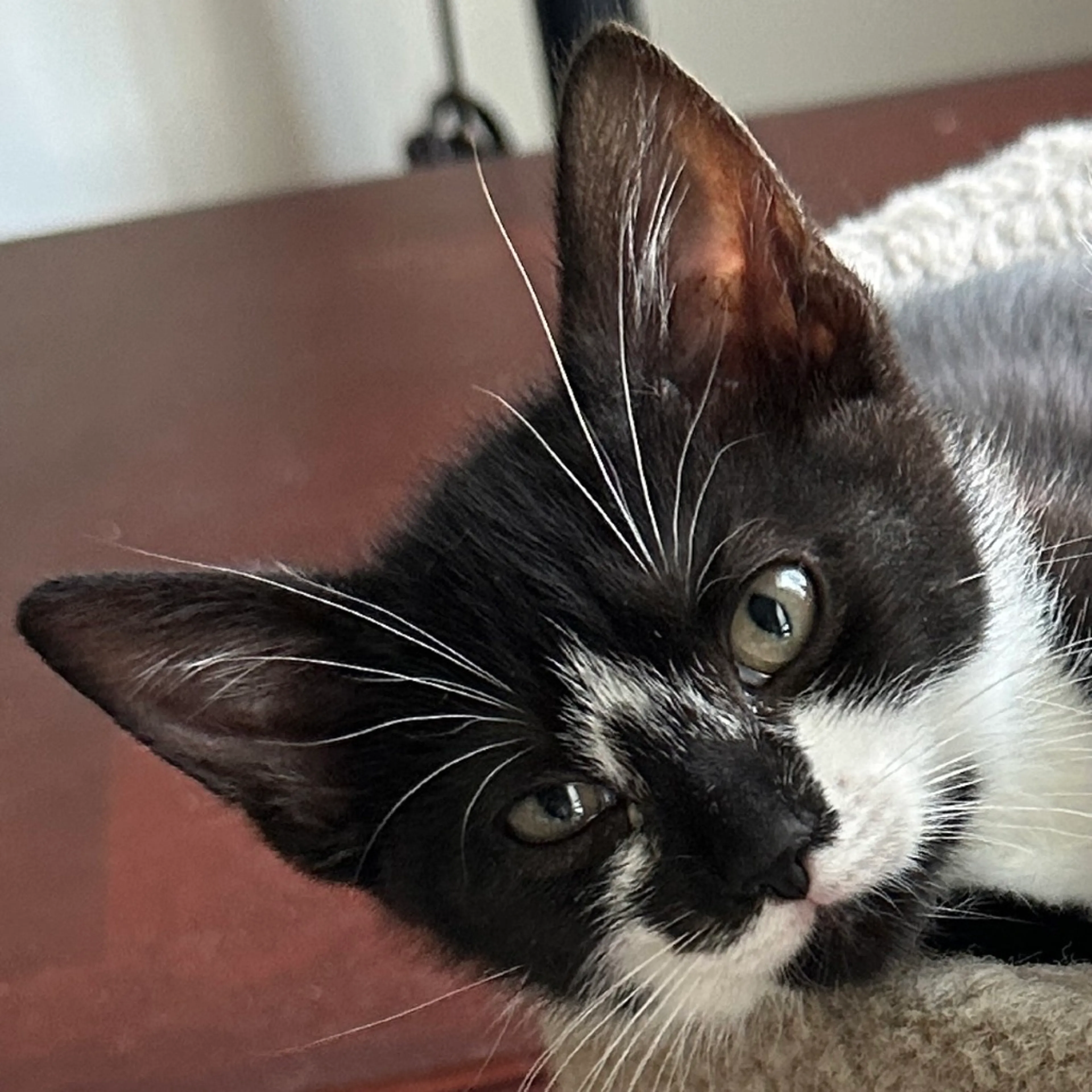 -5