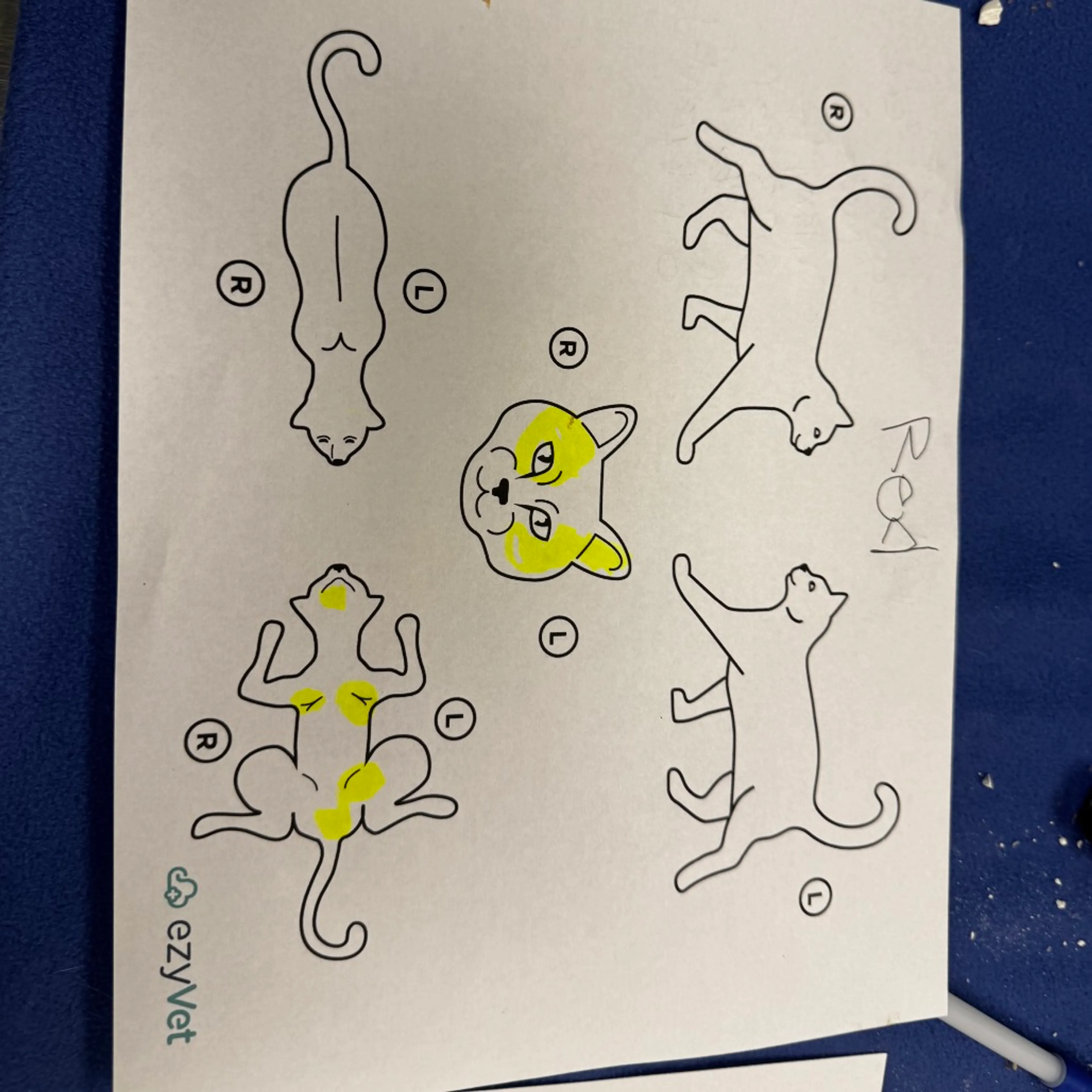-3