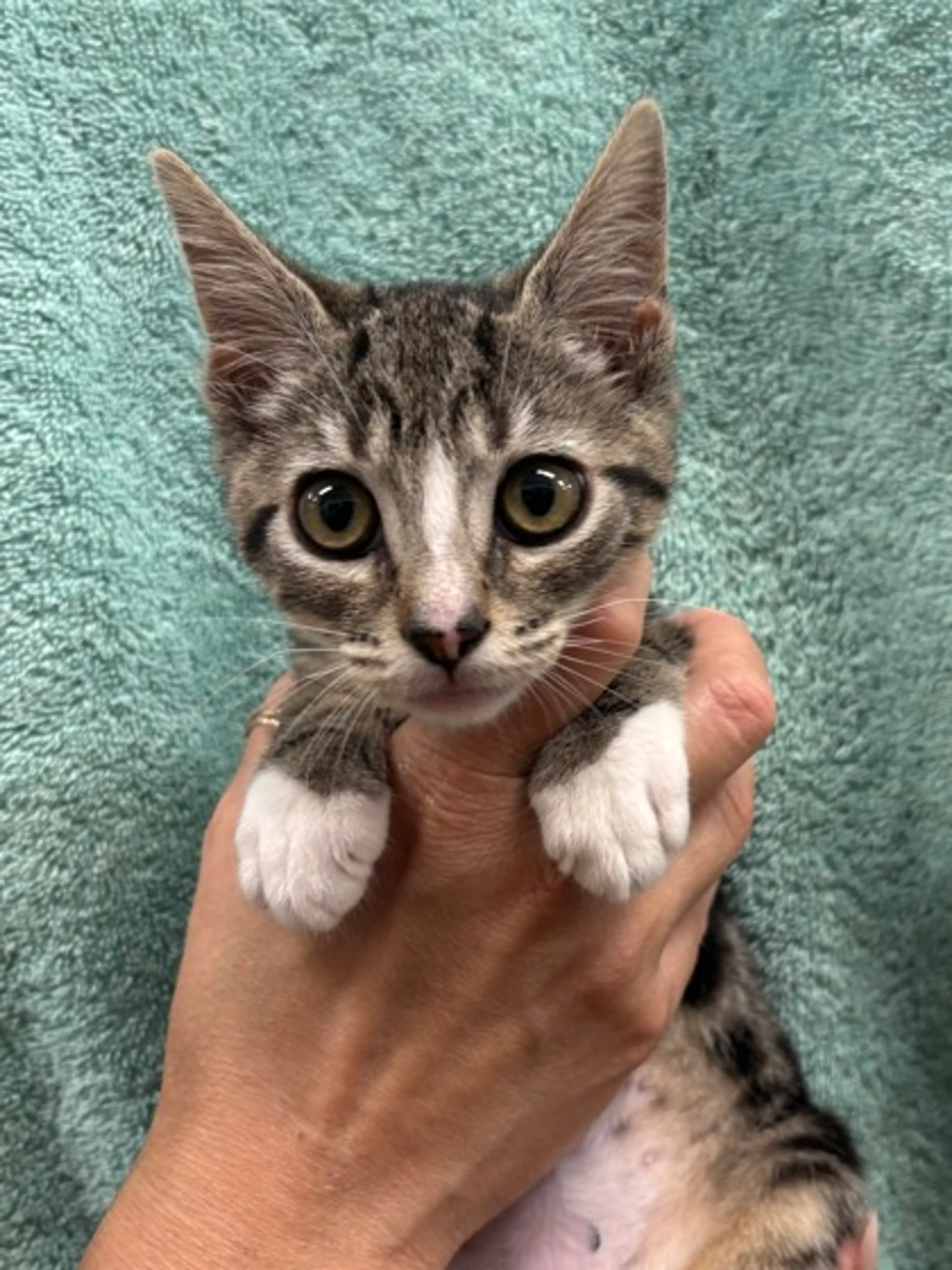 -1