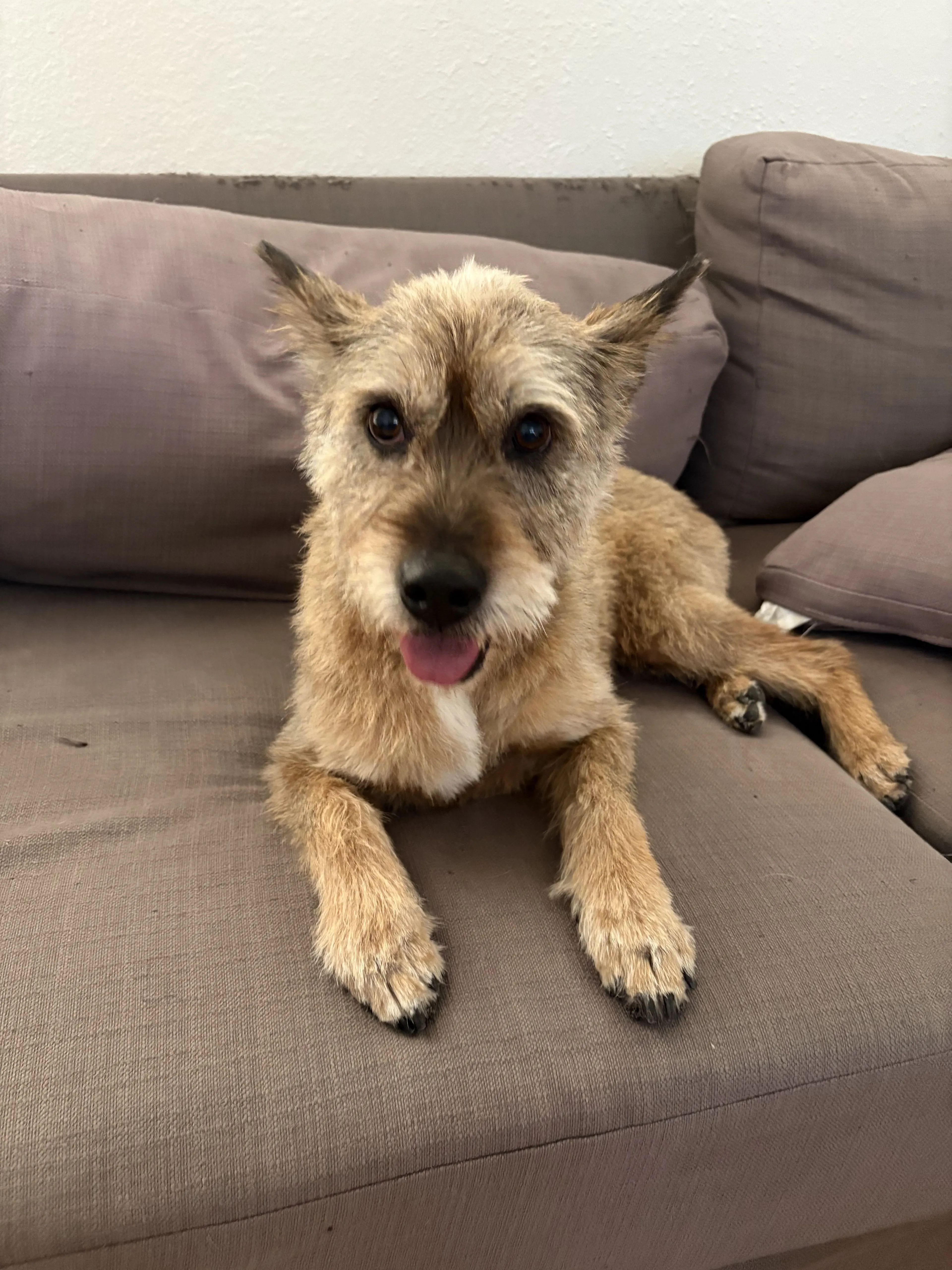 -1