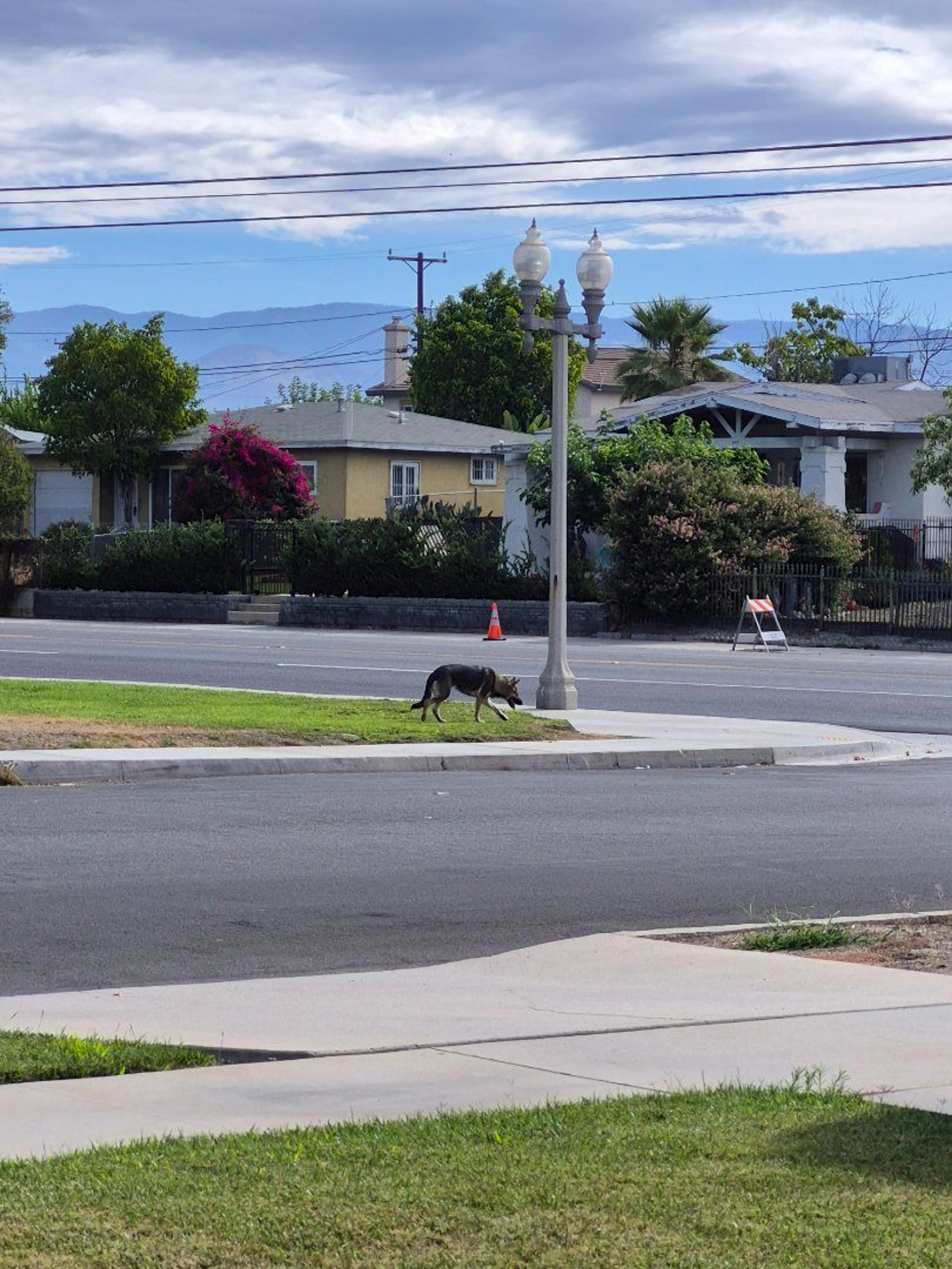 -1