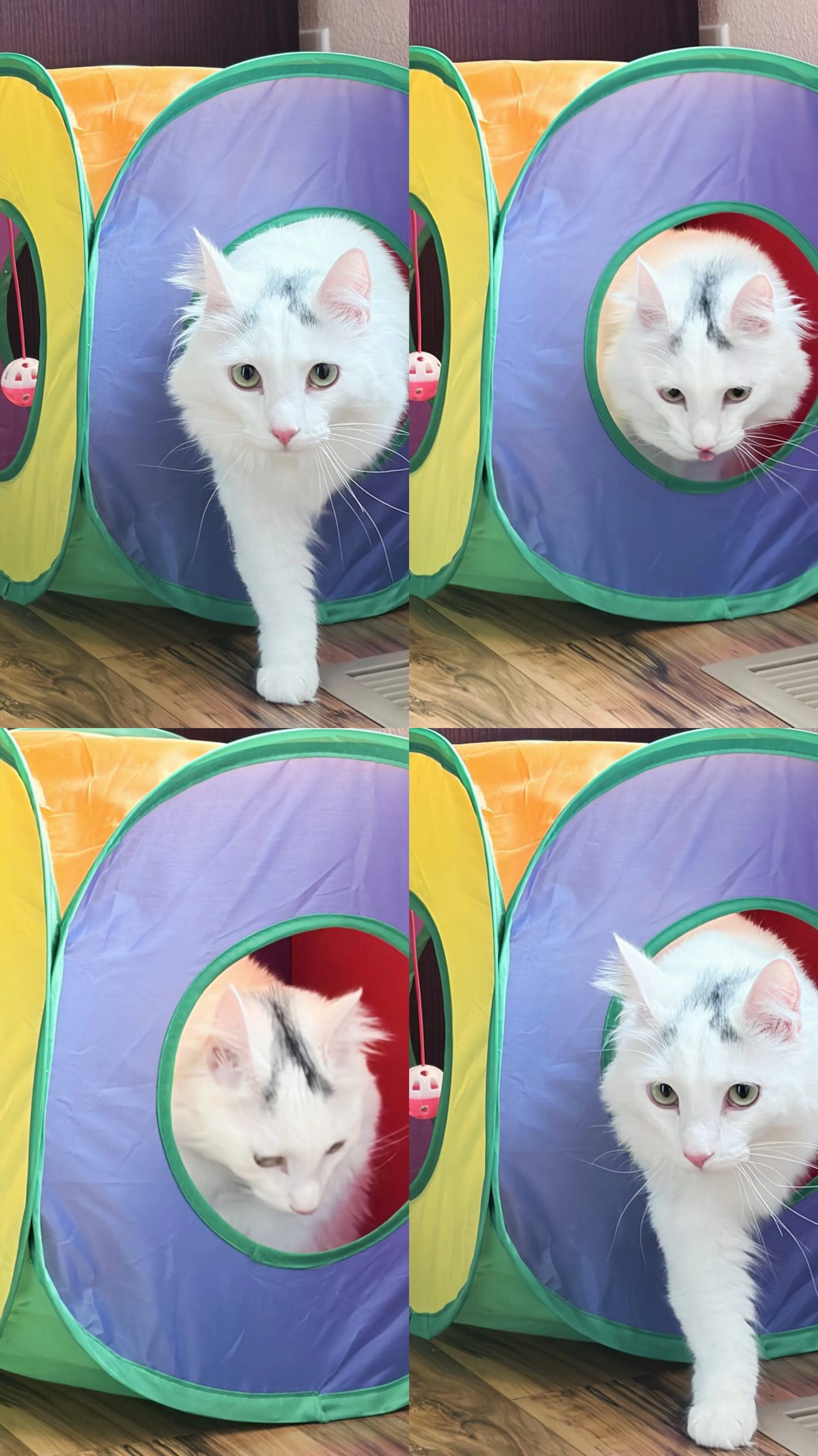 -1