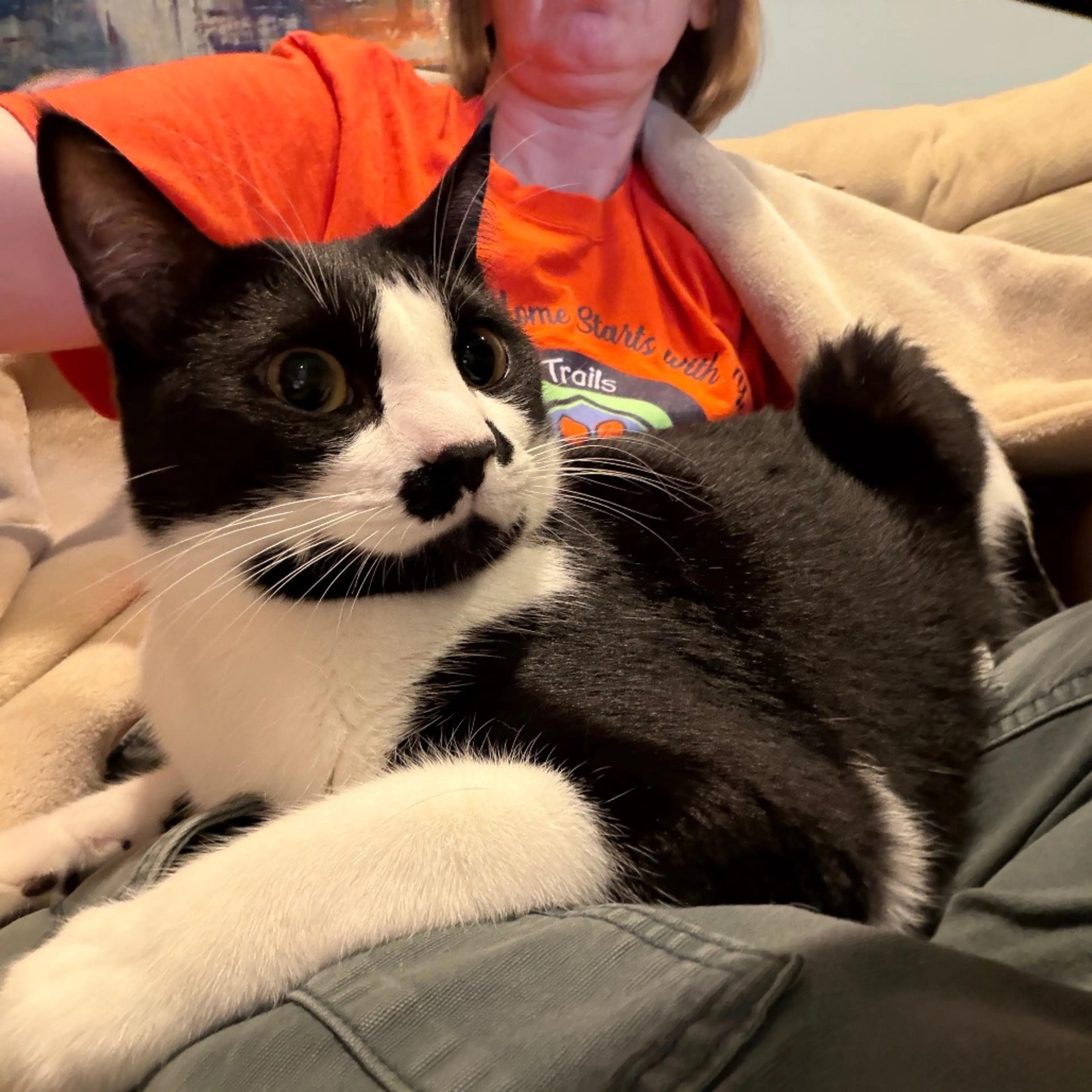 -8