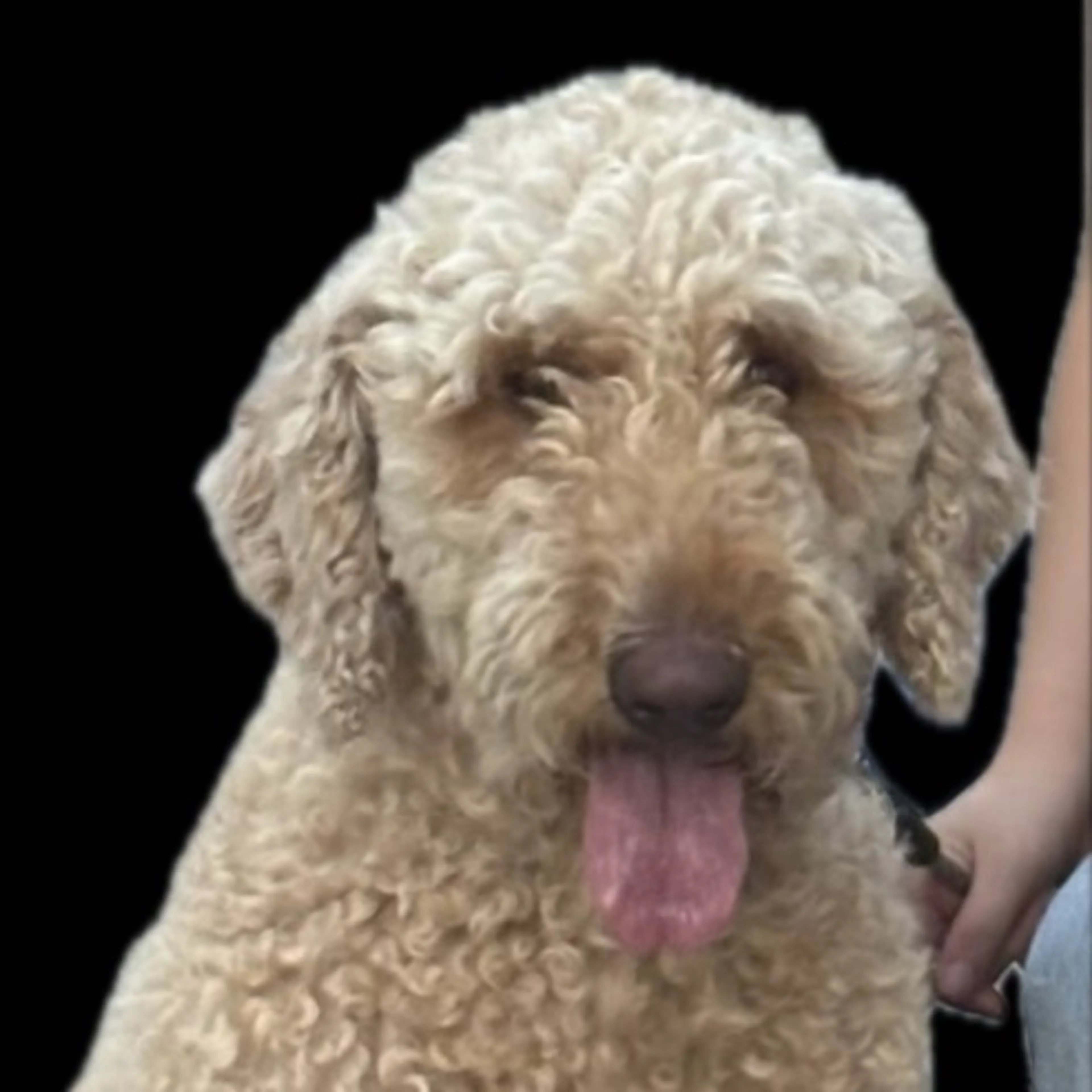 -0