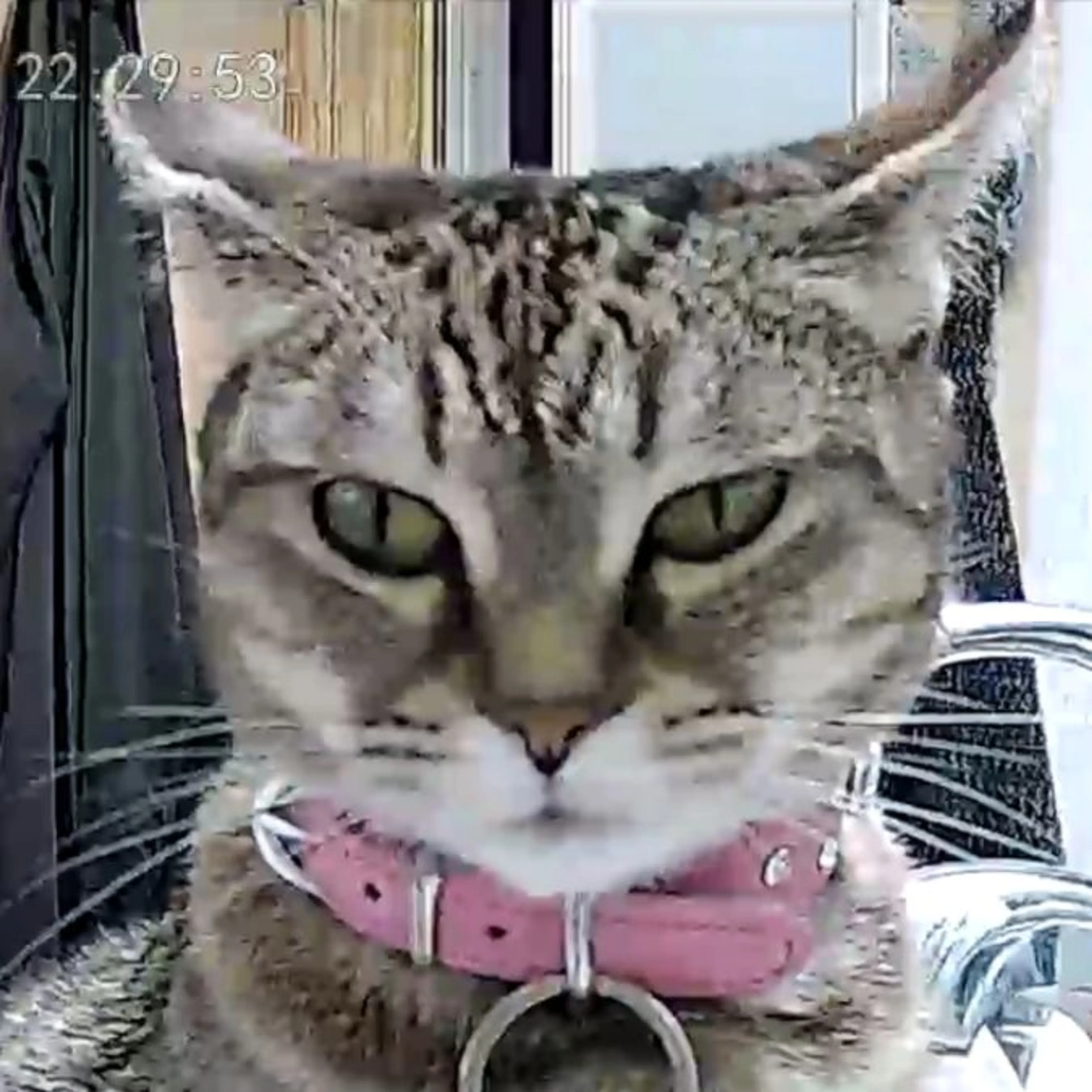 cdn image