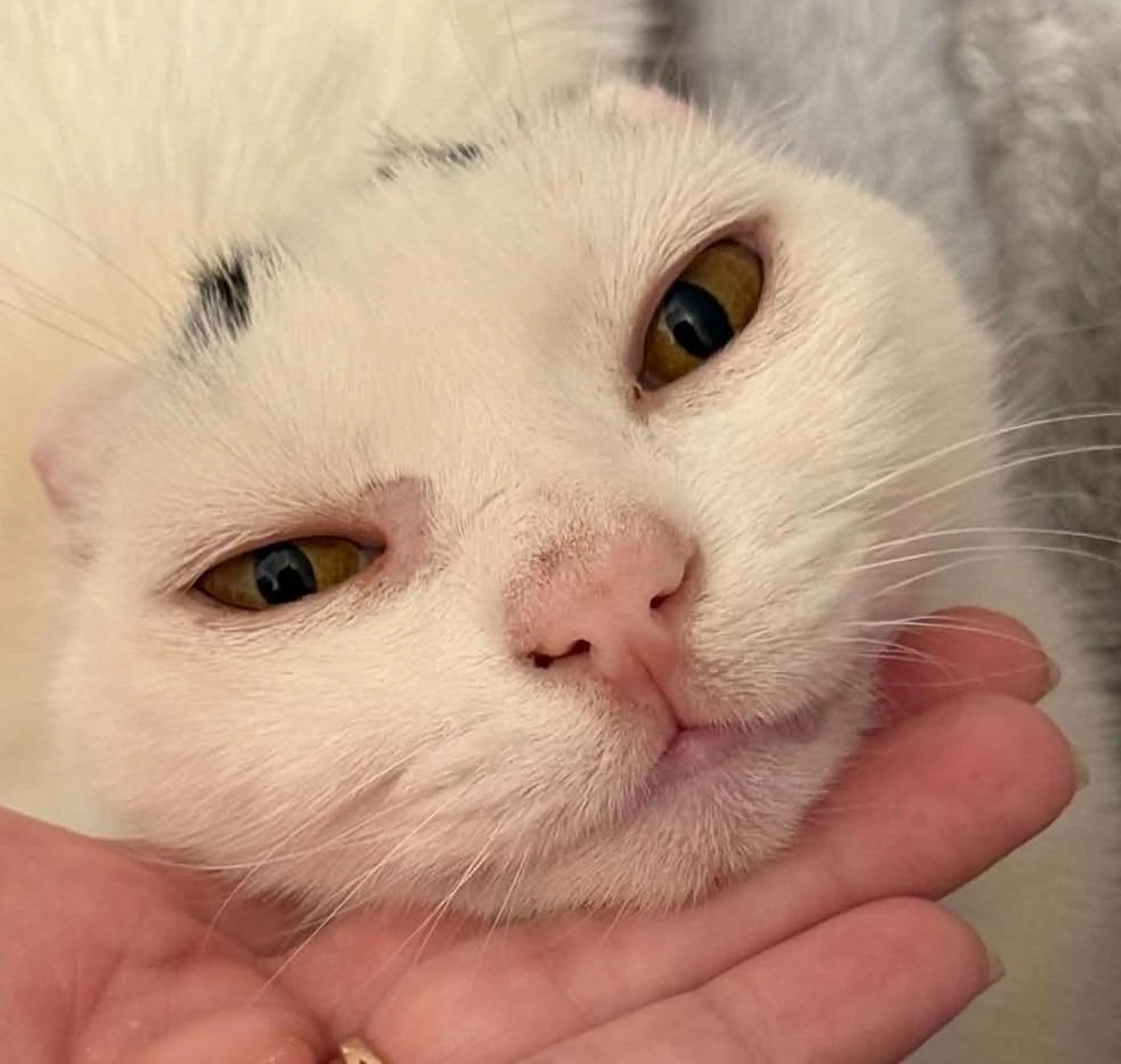 -0