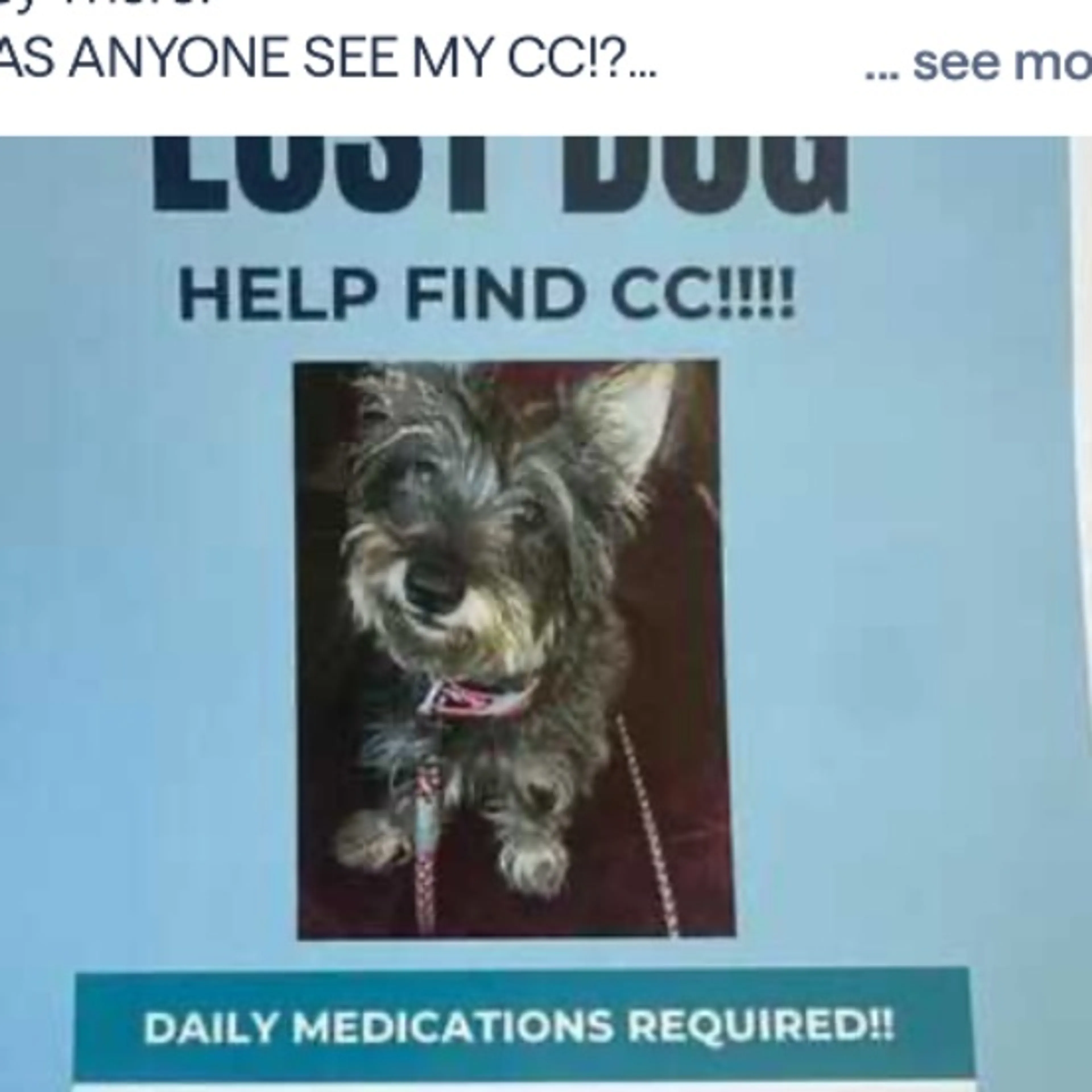 cdn image