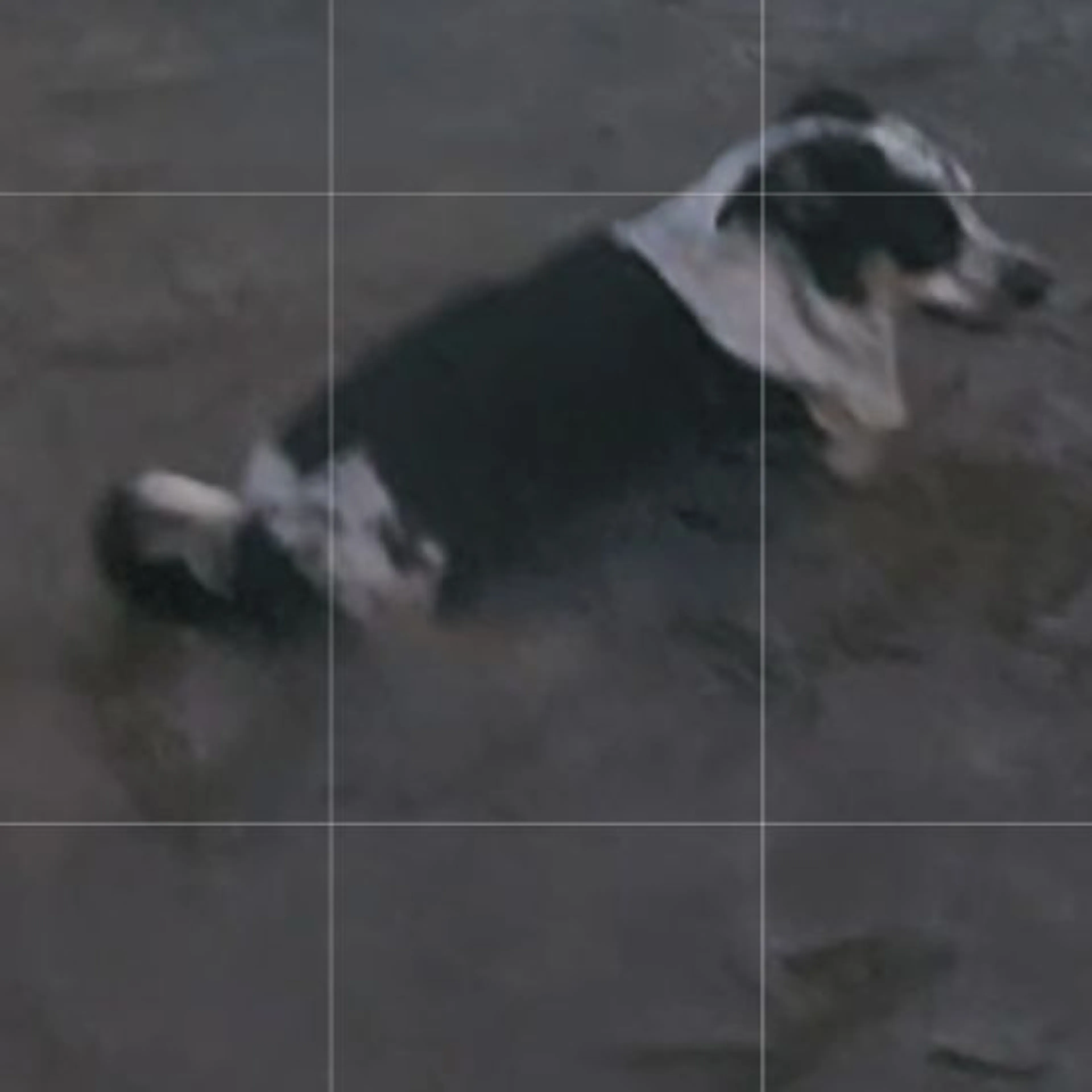 cdn image