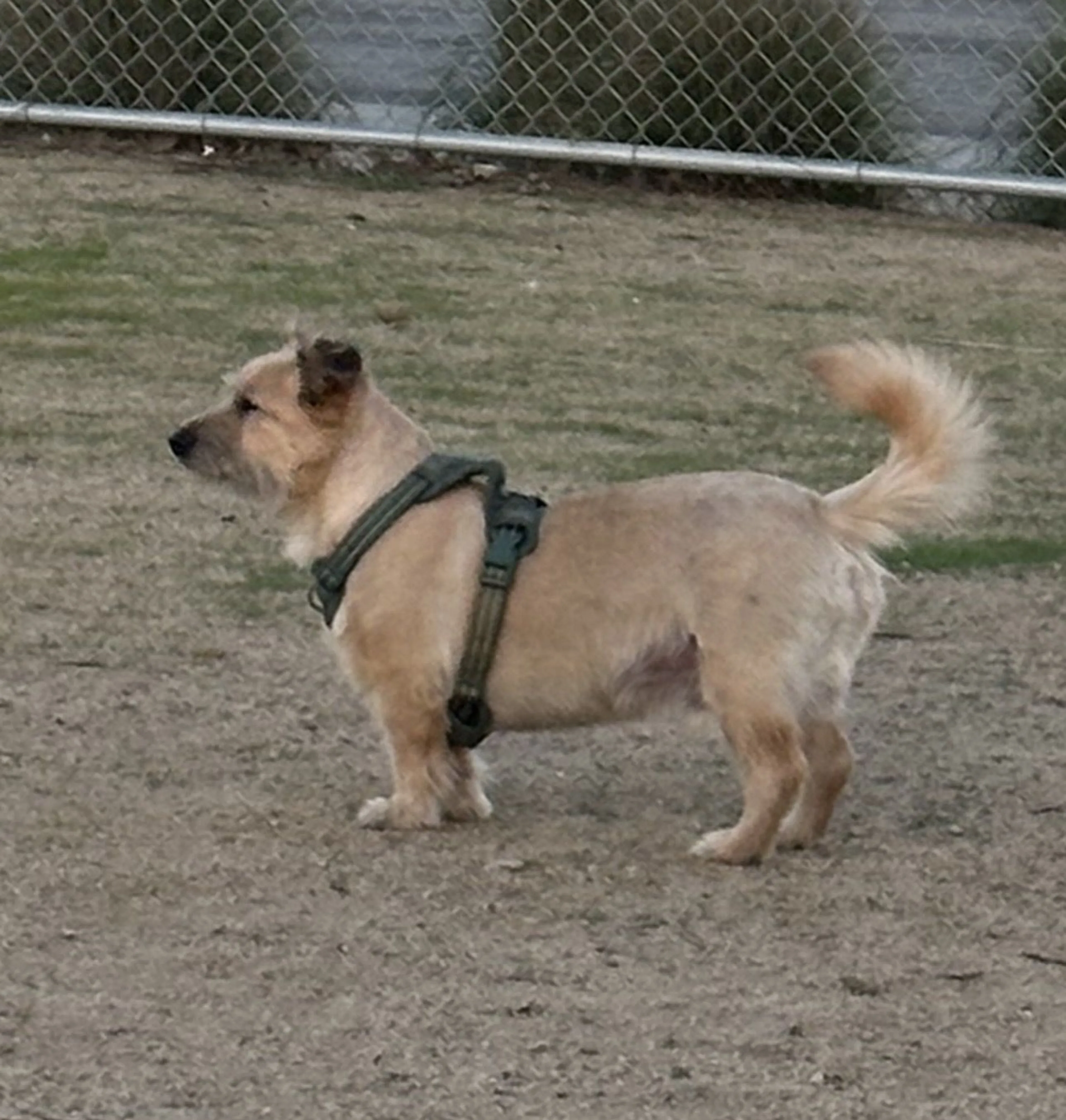 -0