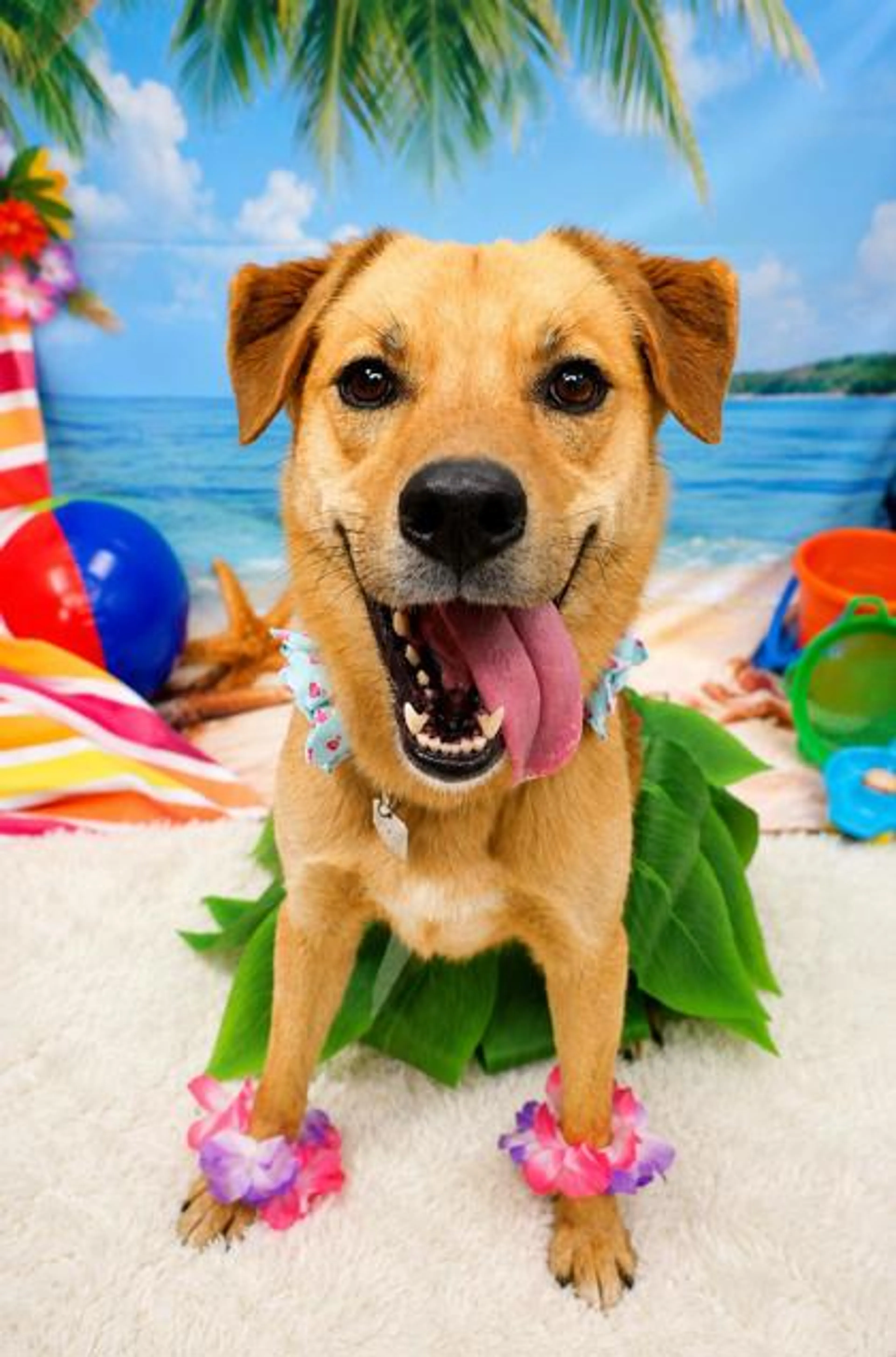 -0