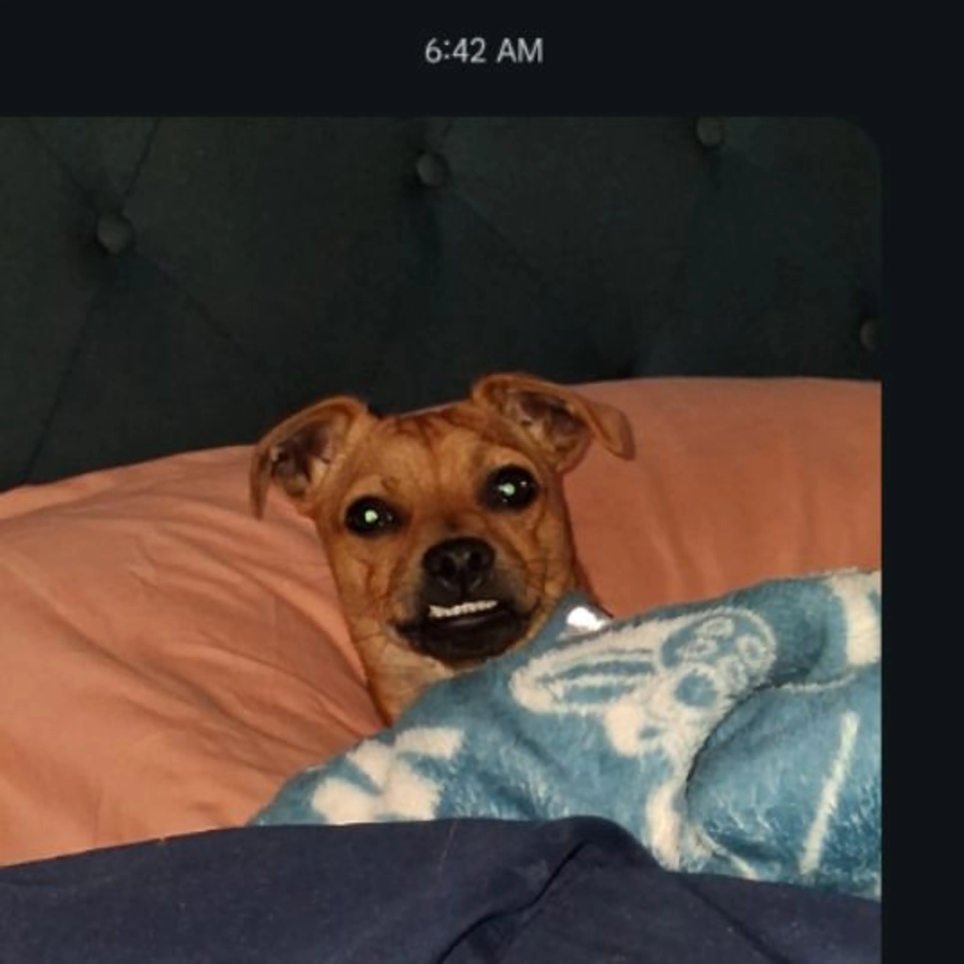 cdn image