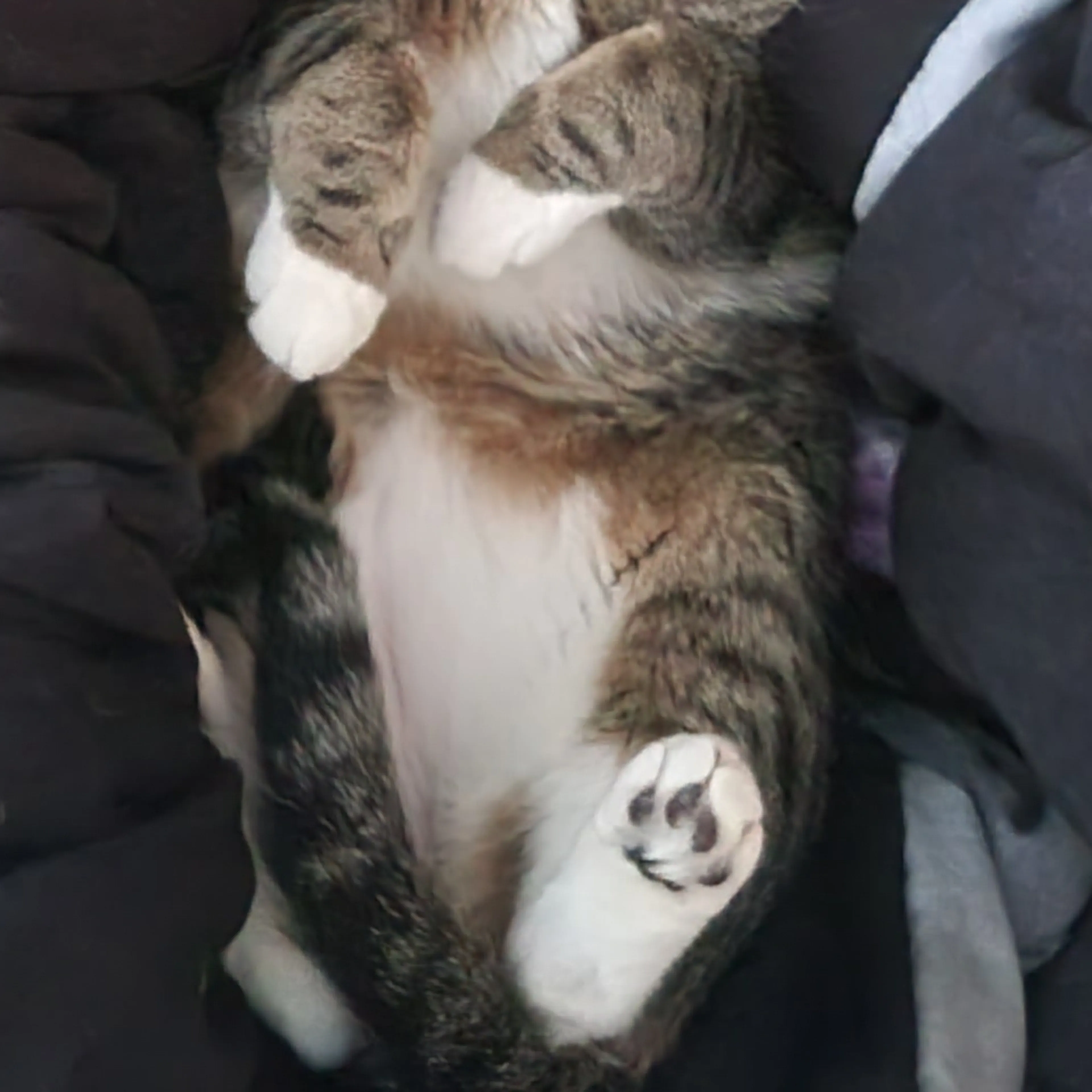 -3