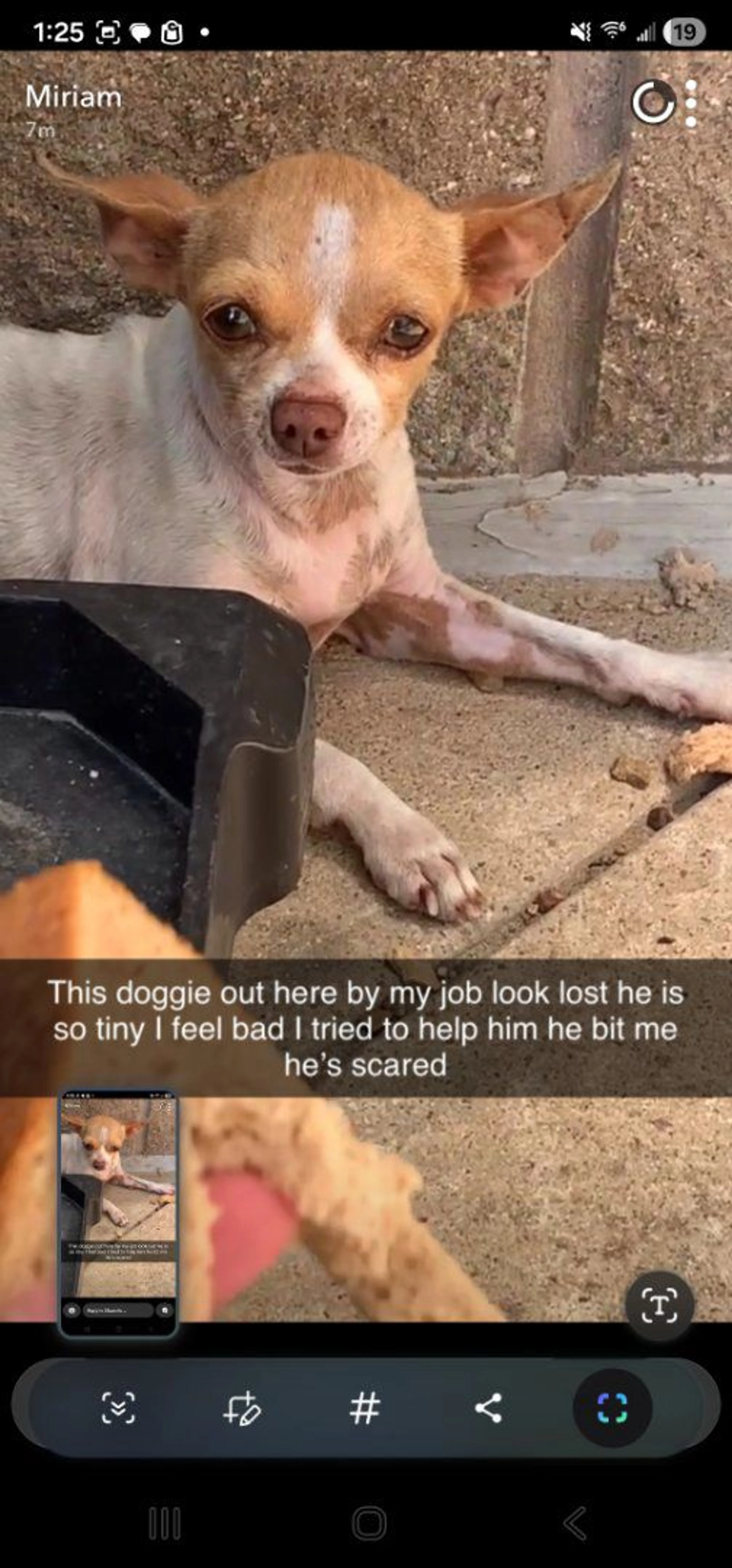 -3