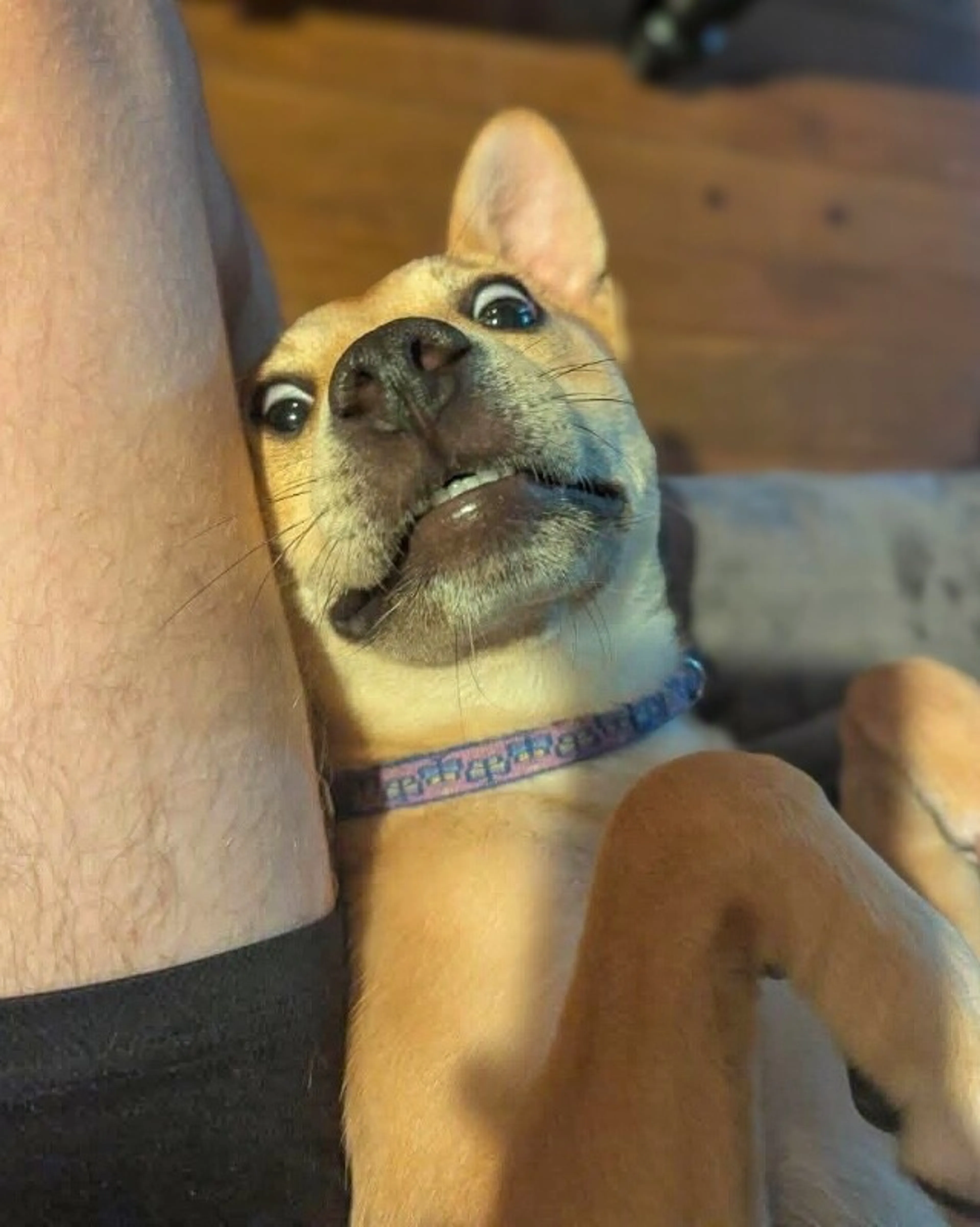 -1