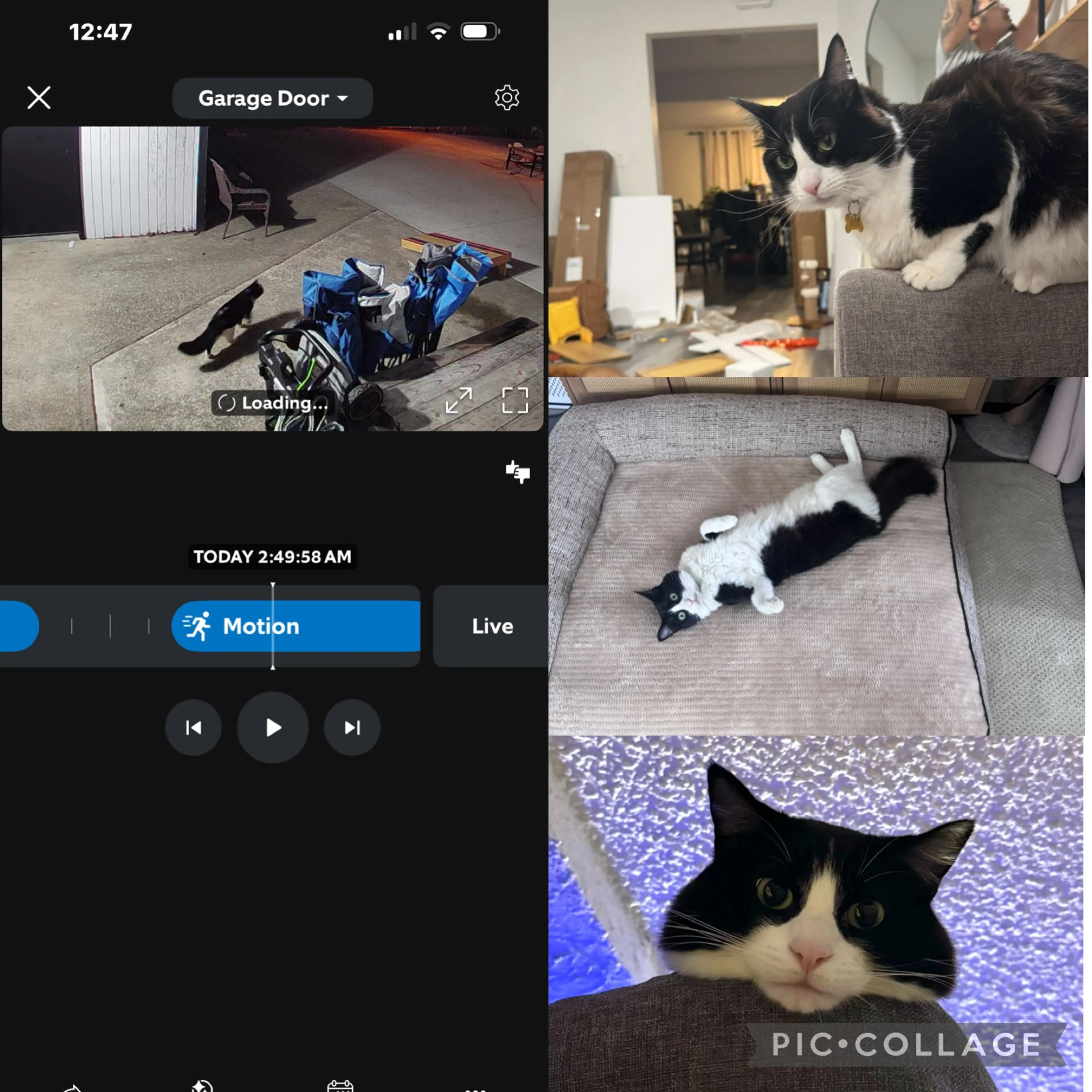 cdn image