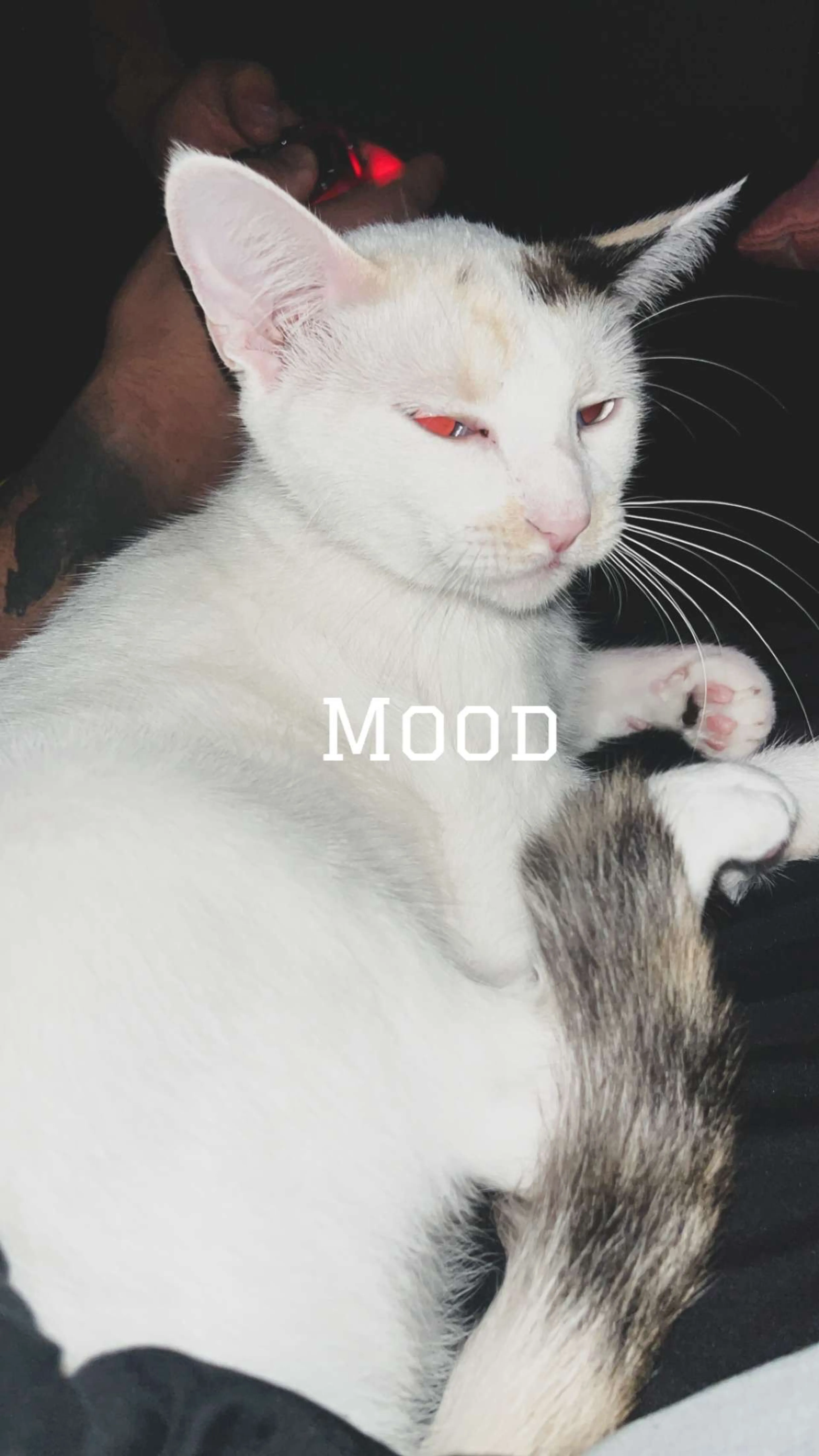 -1