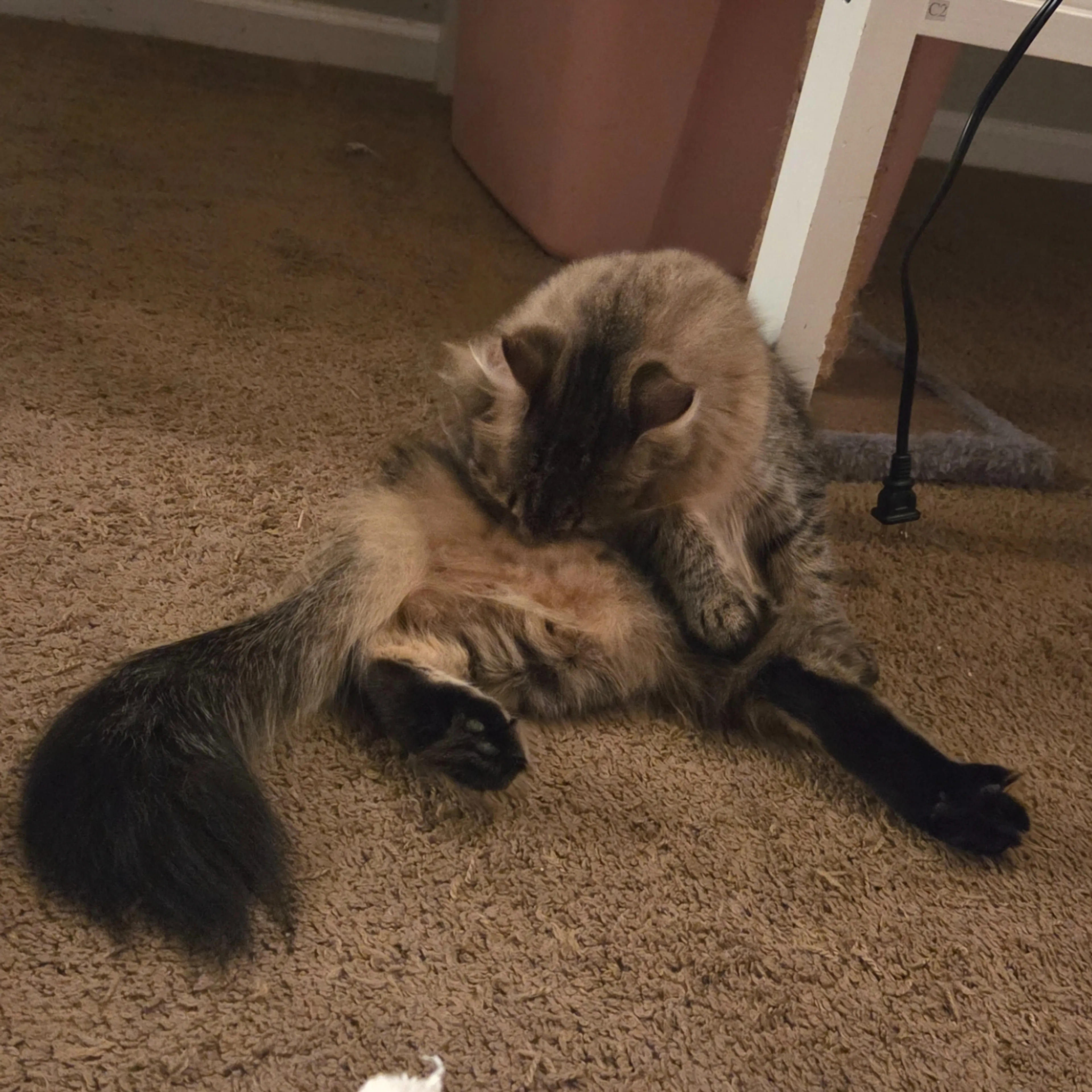 -3