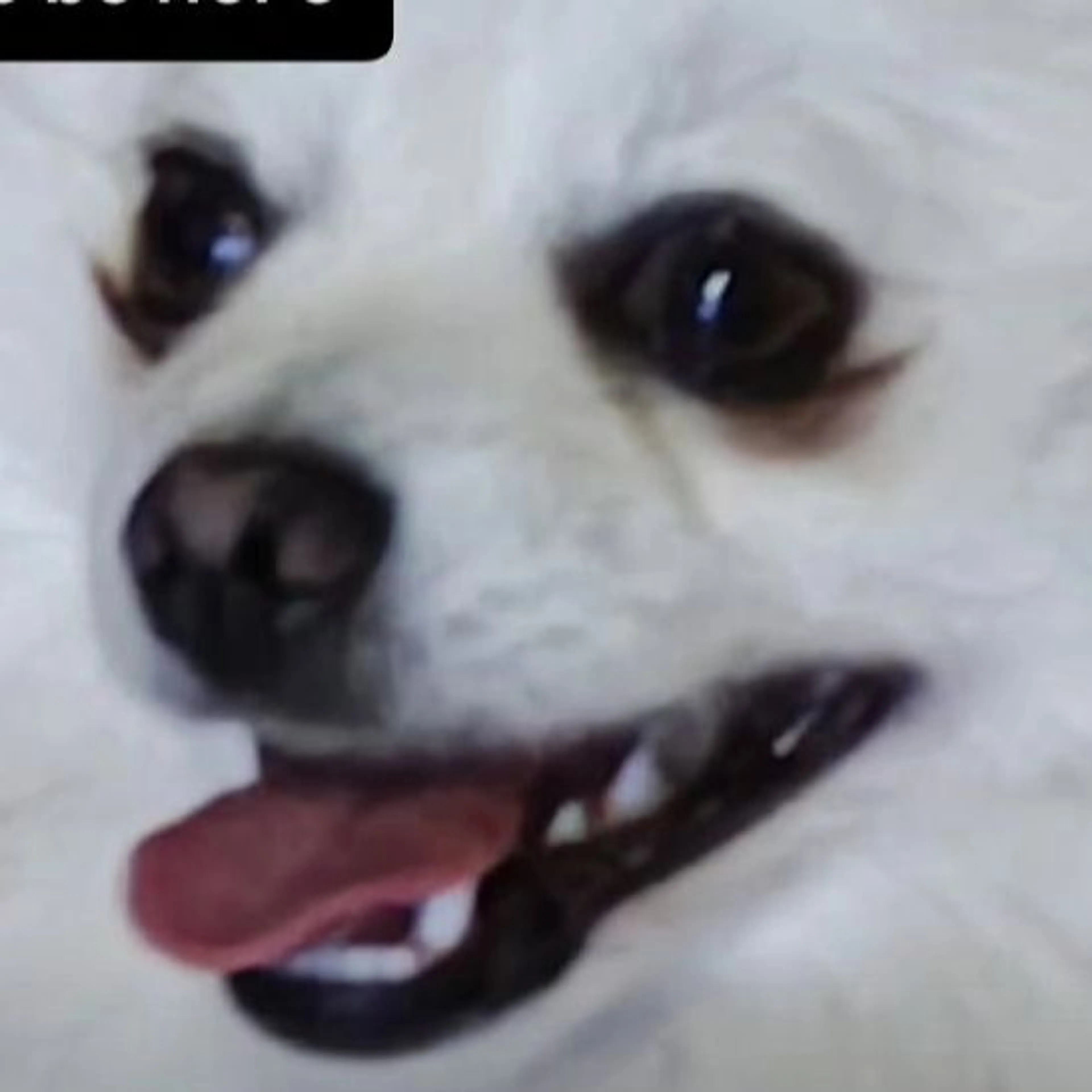 cdn image