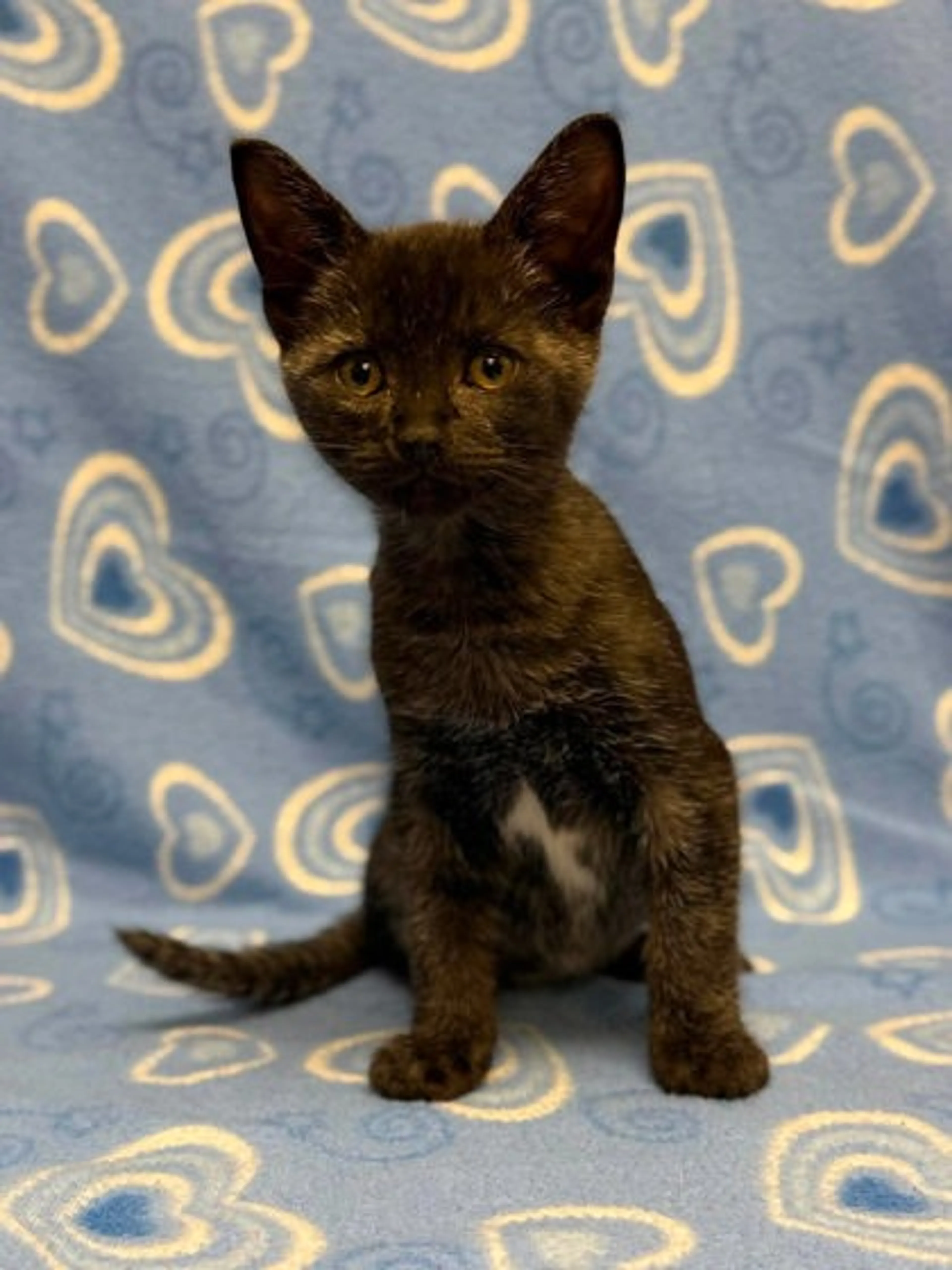 -0