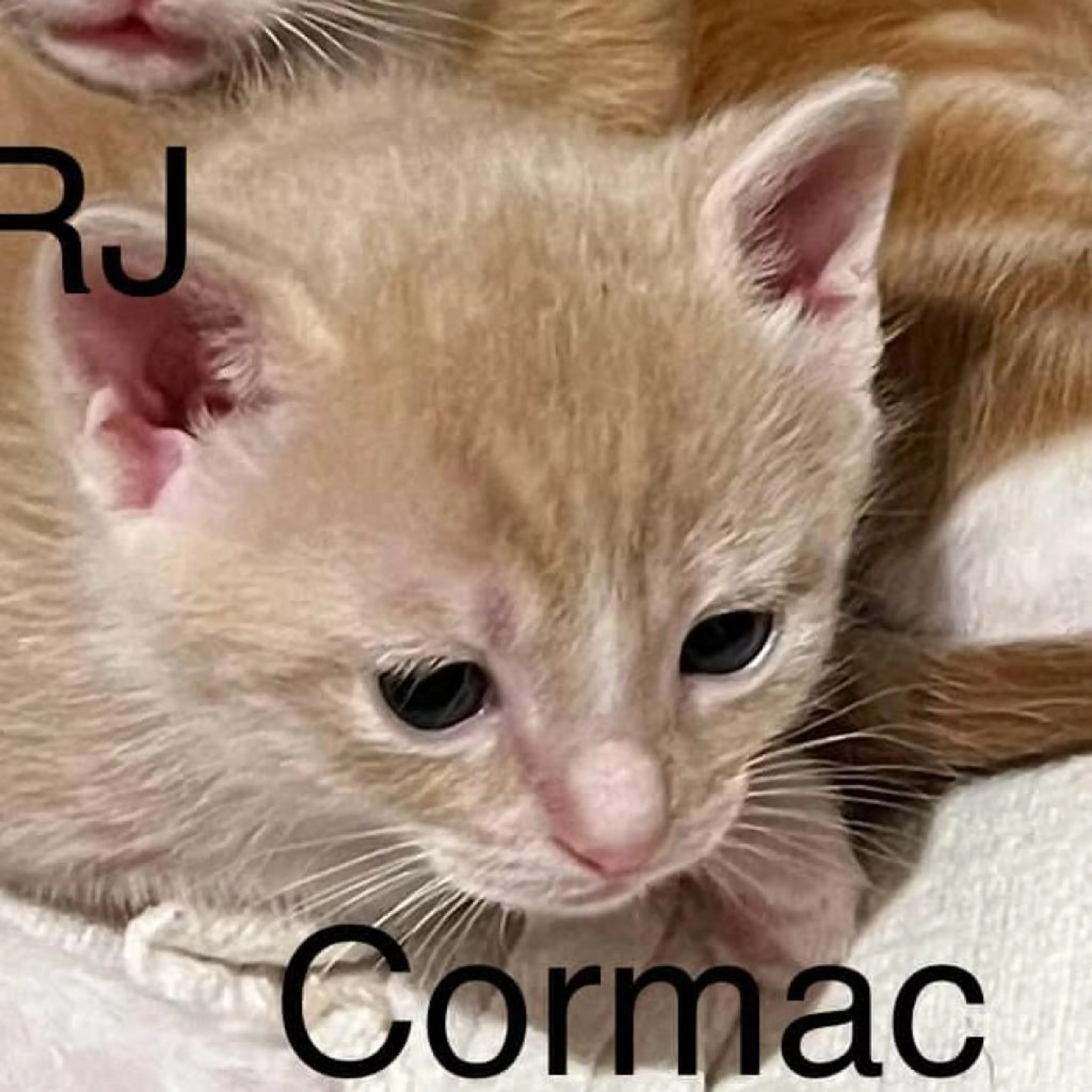 -4