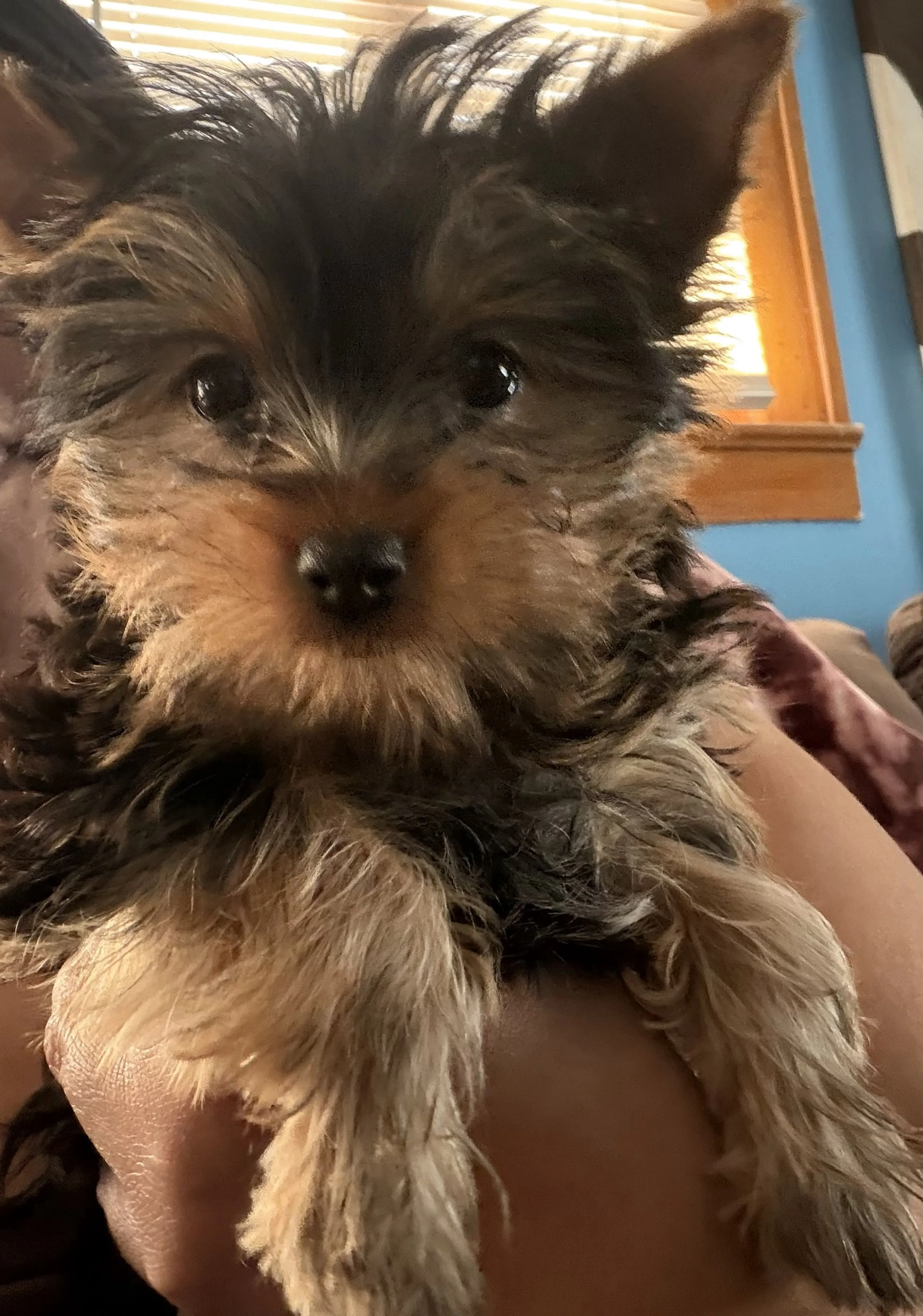 -0