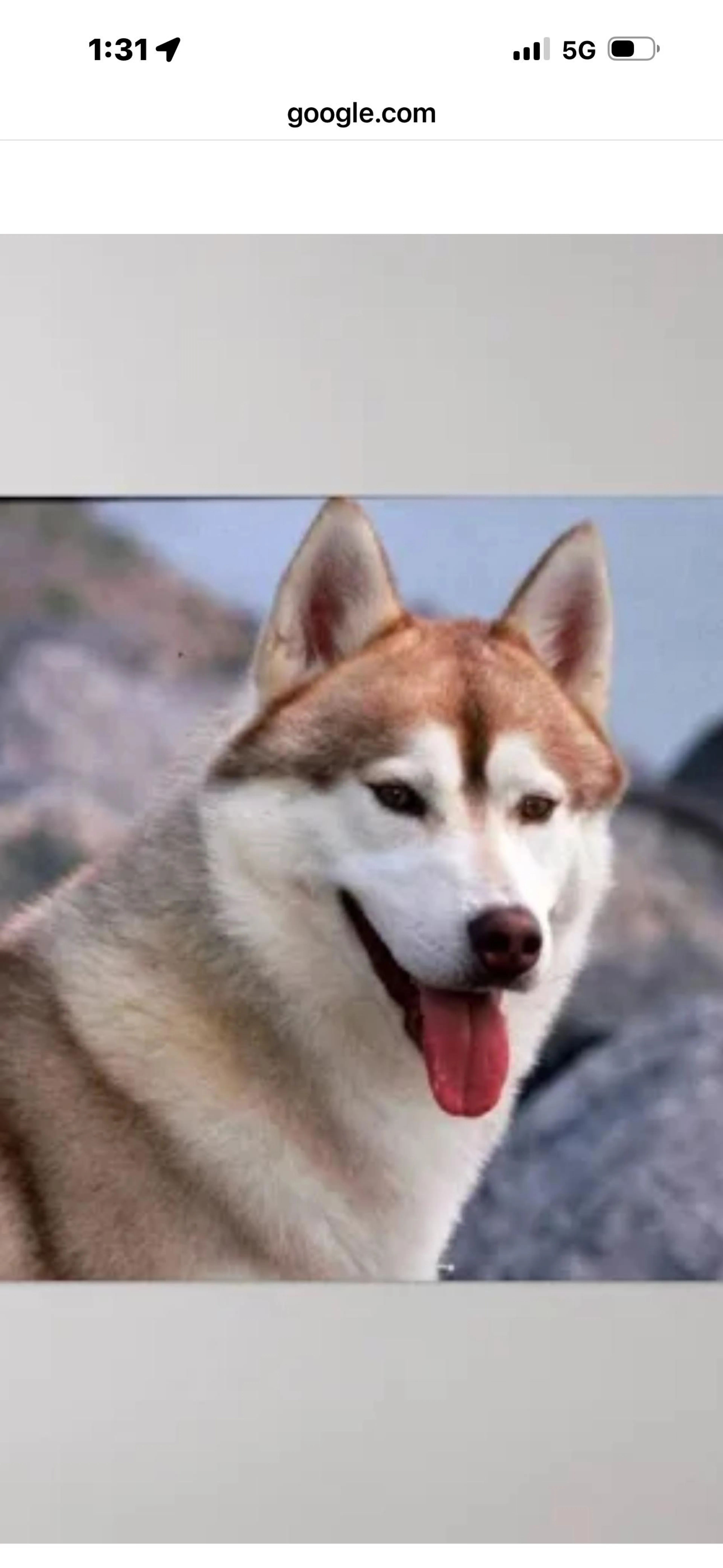 -1