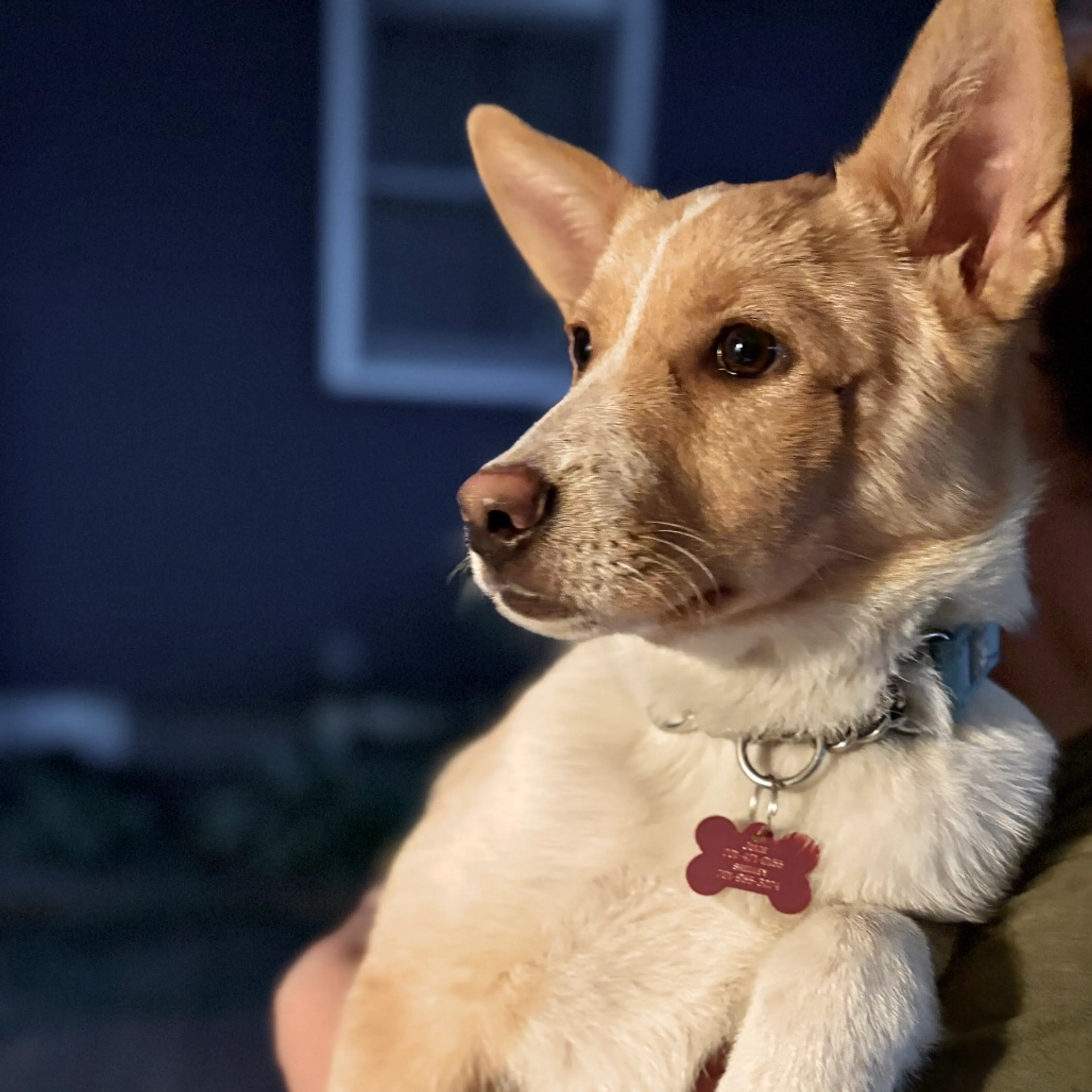 -14