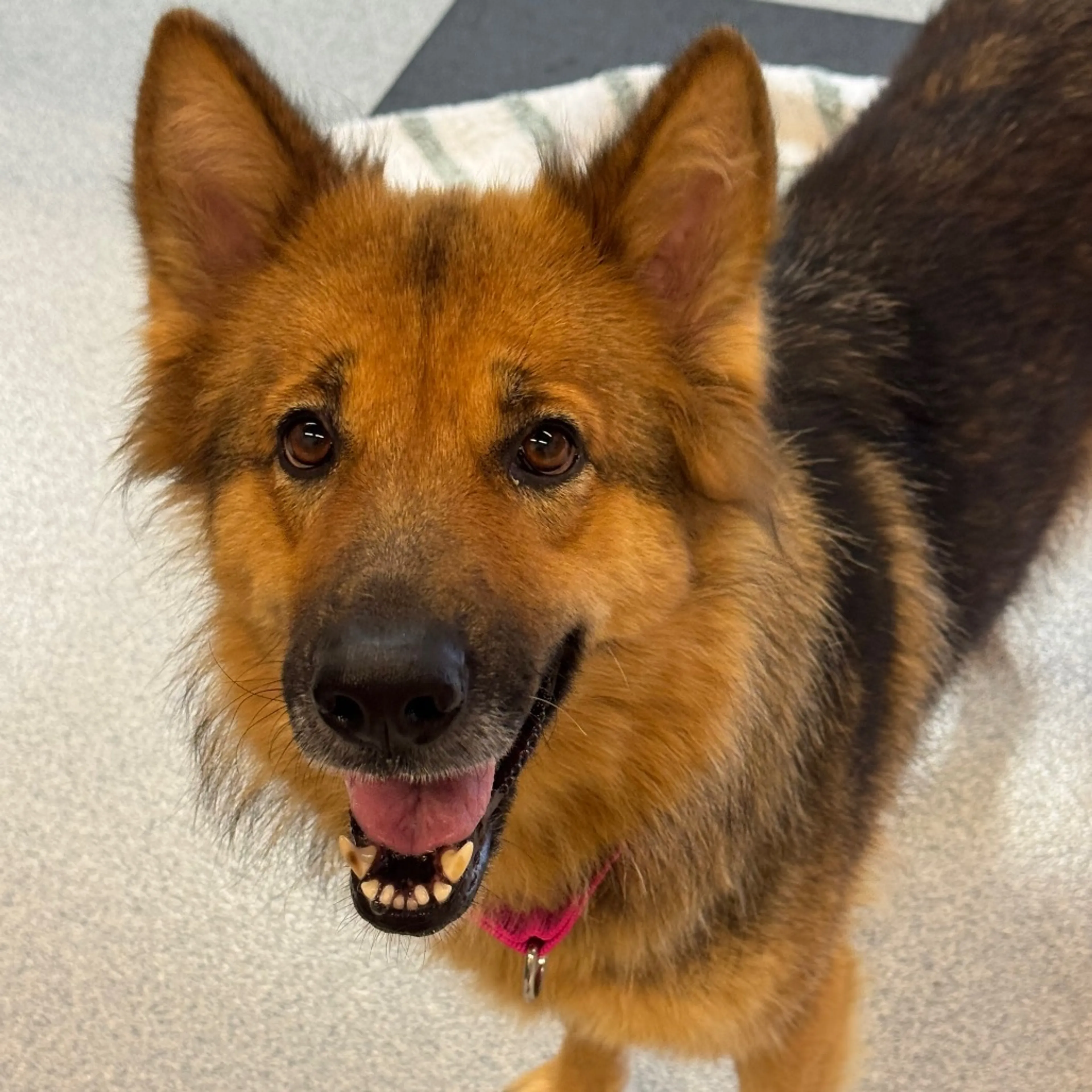 -13