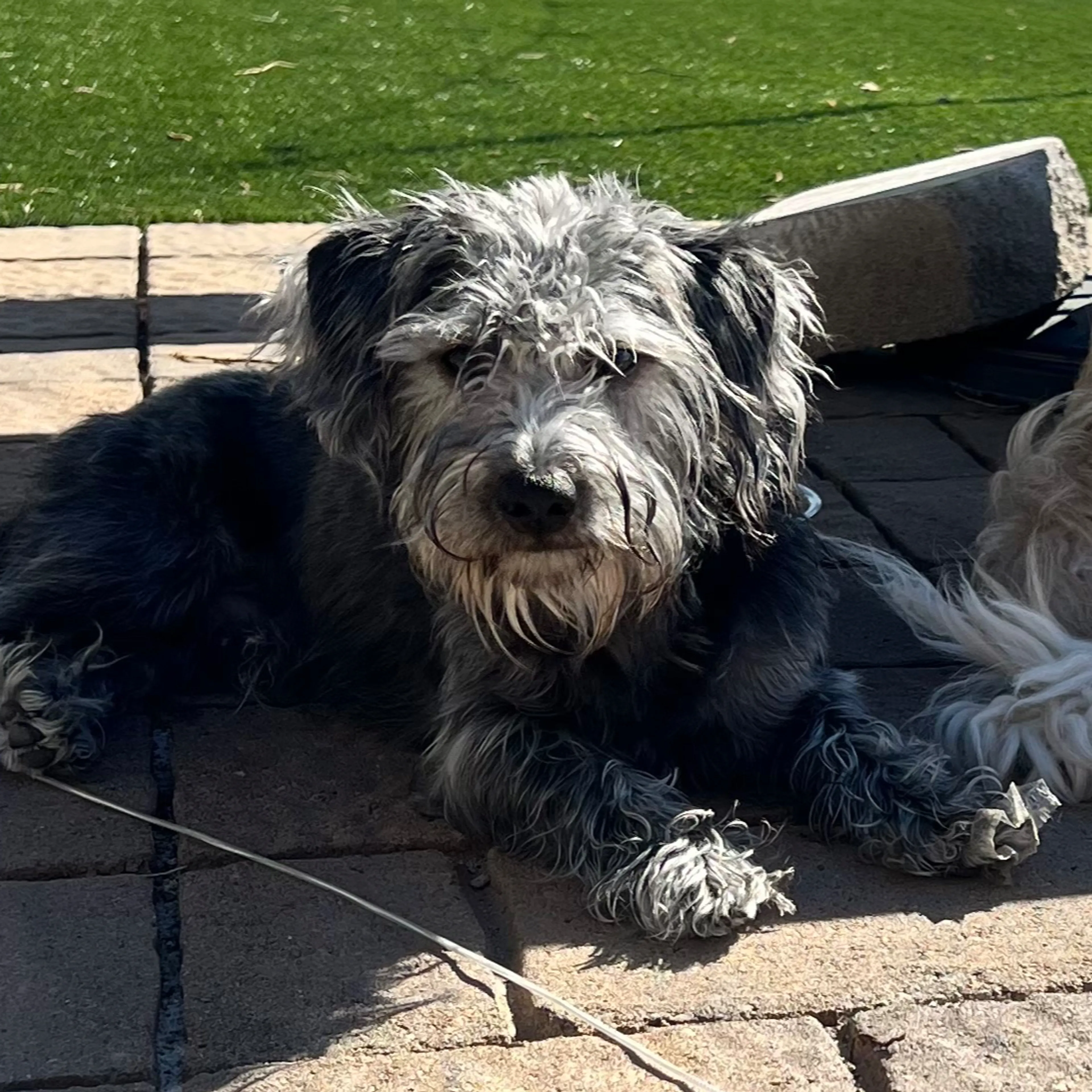 -2