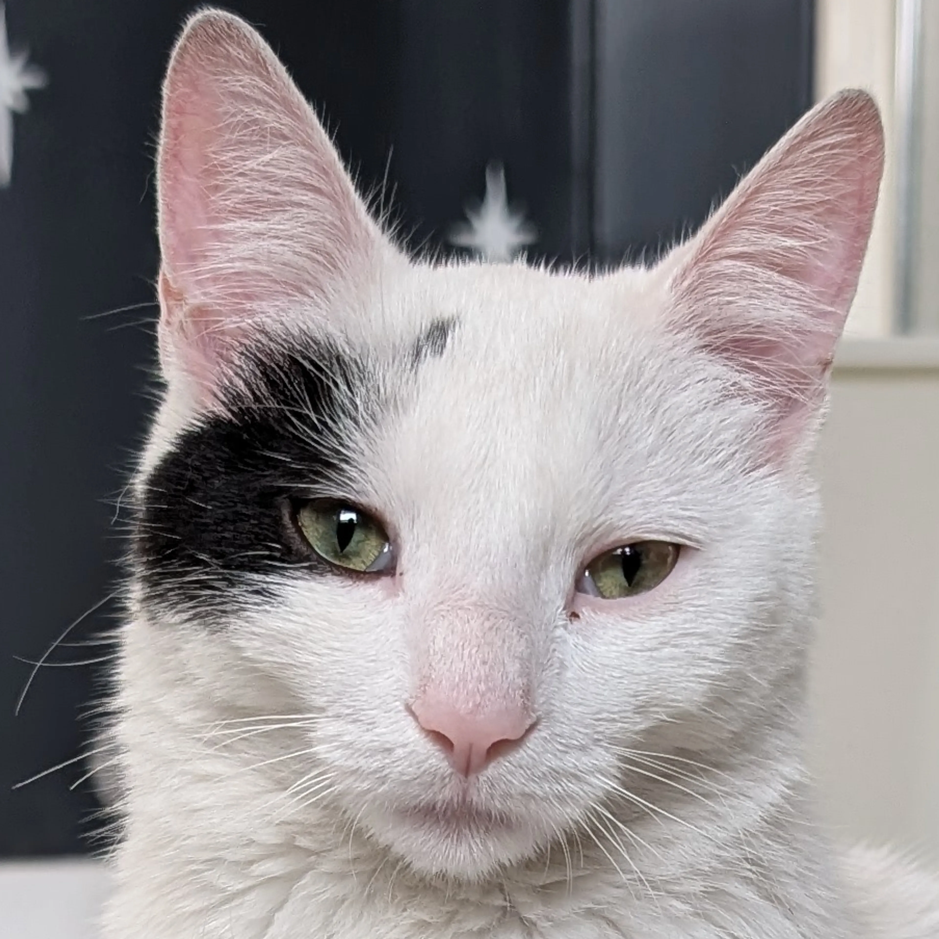 -2