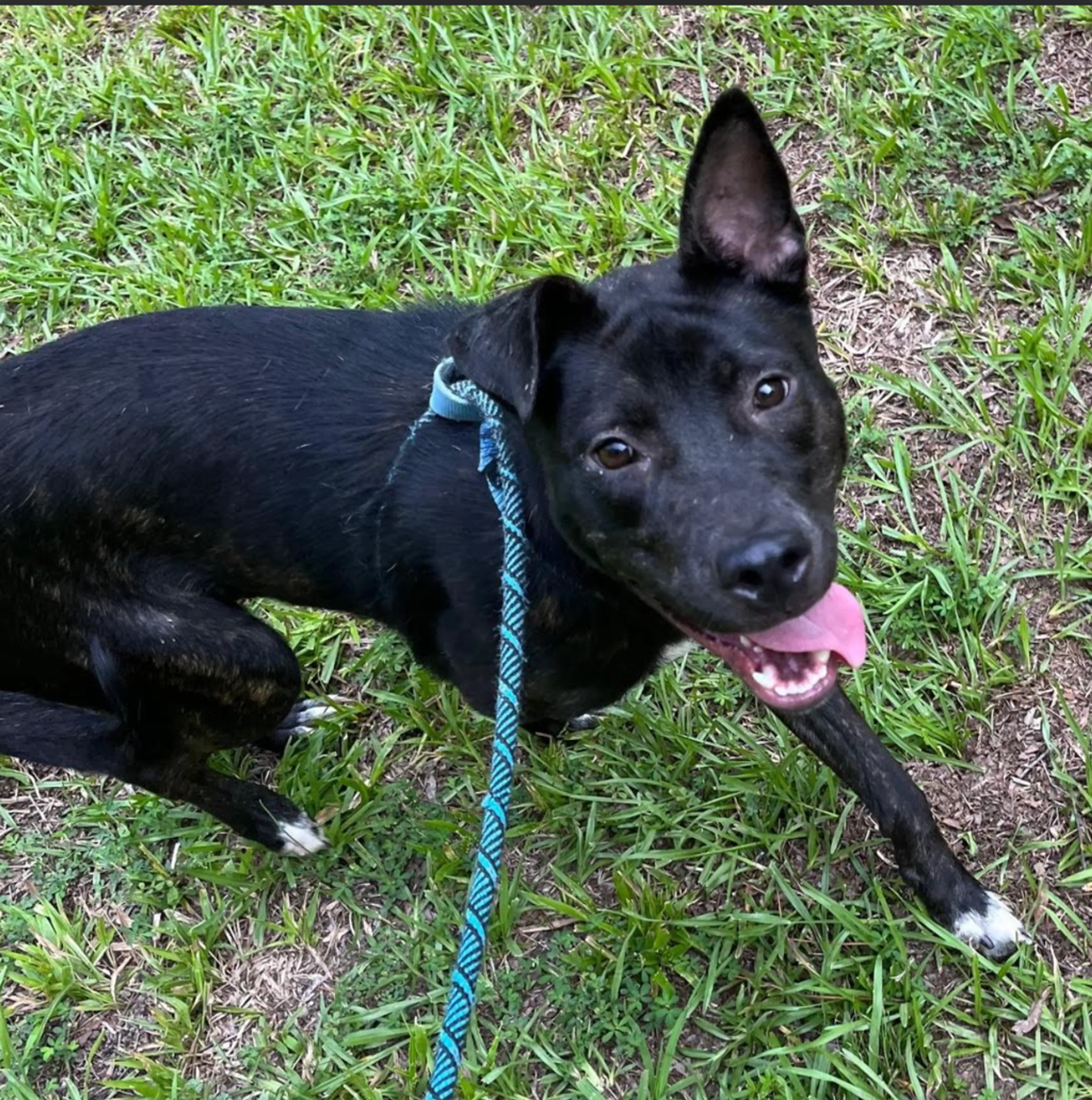 cdn image