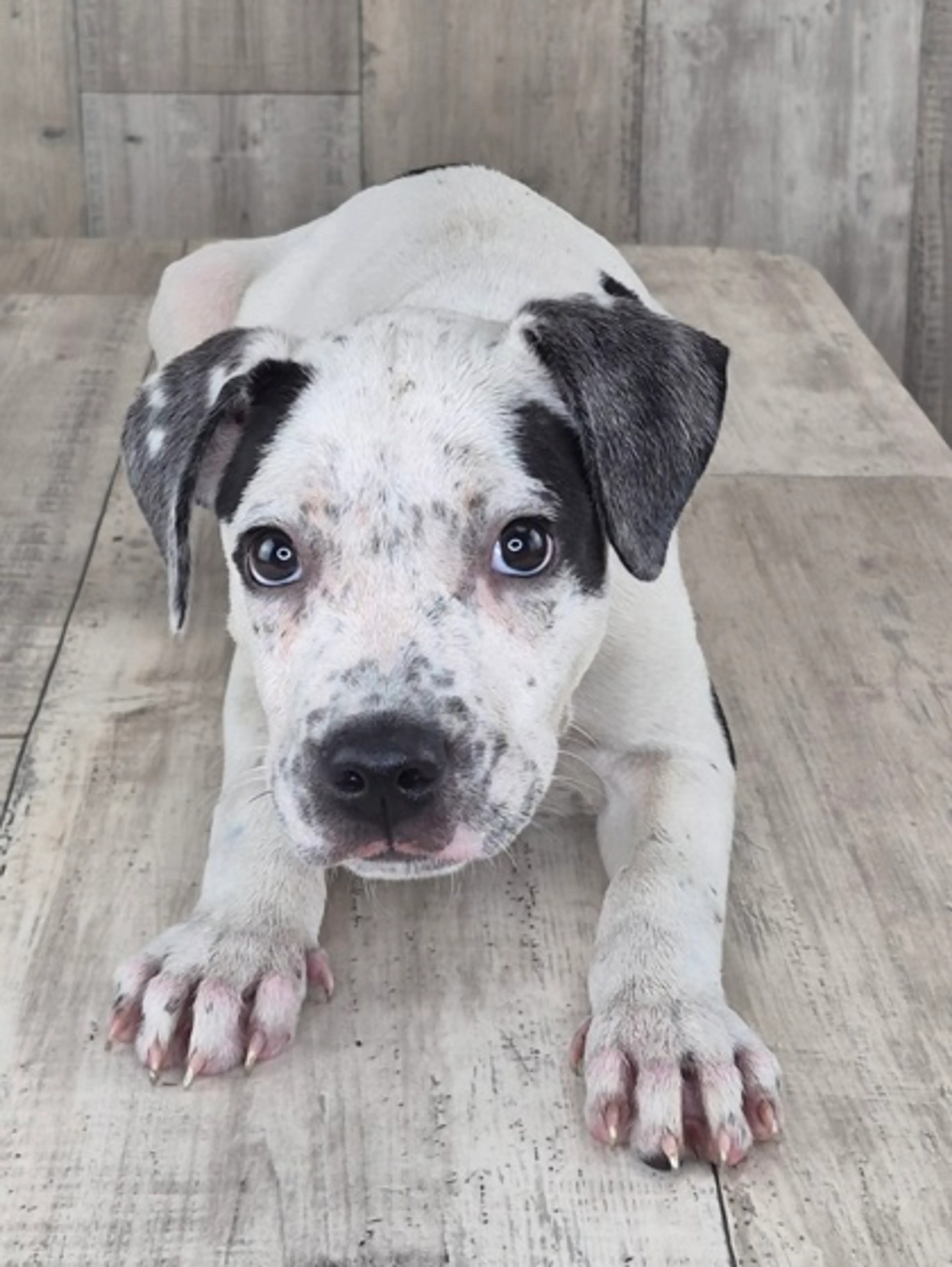 -1