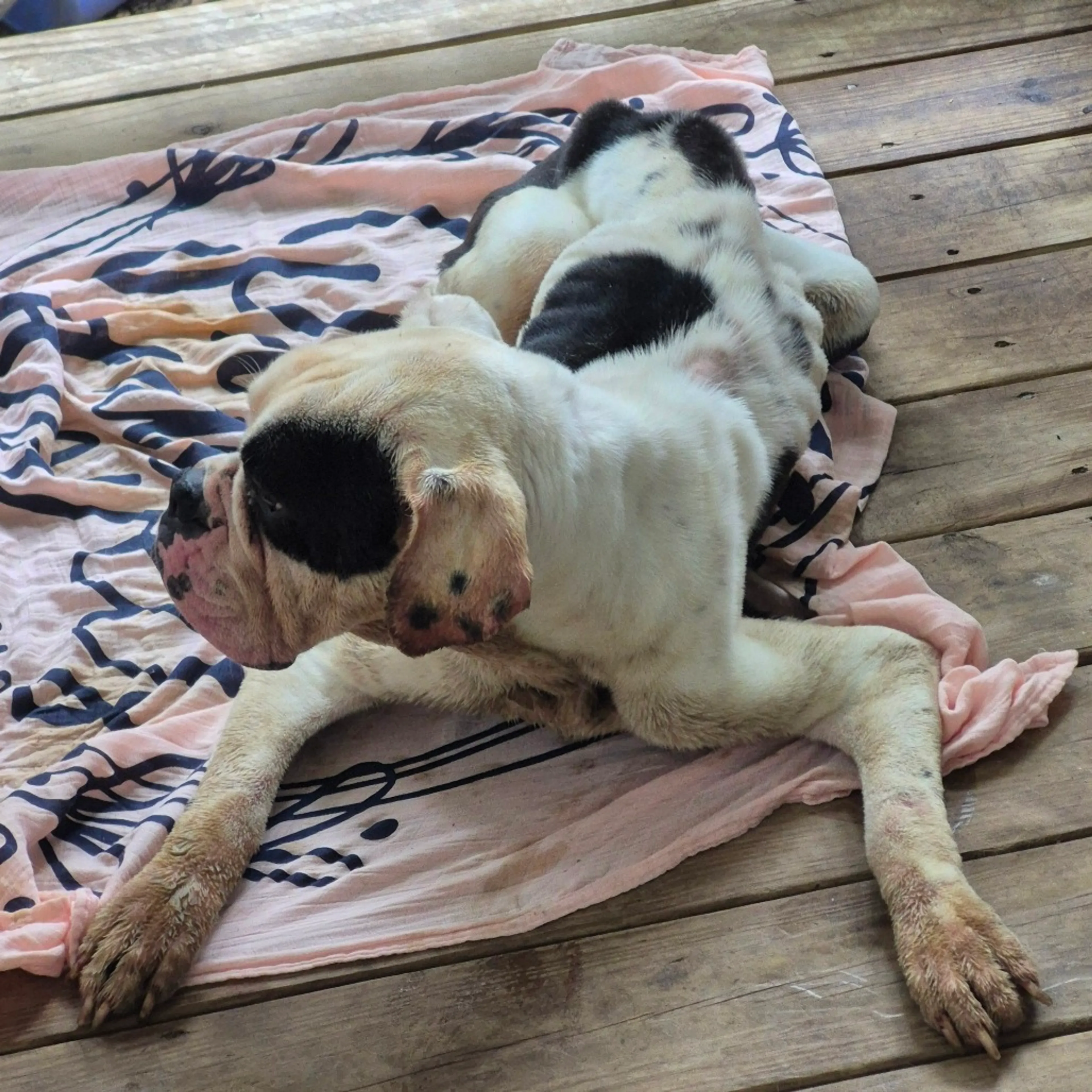 -1
