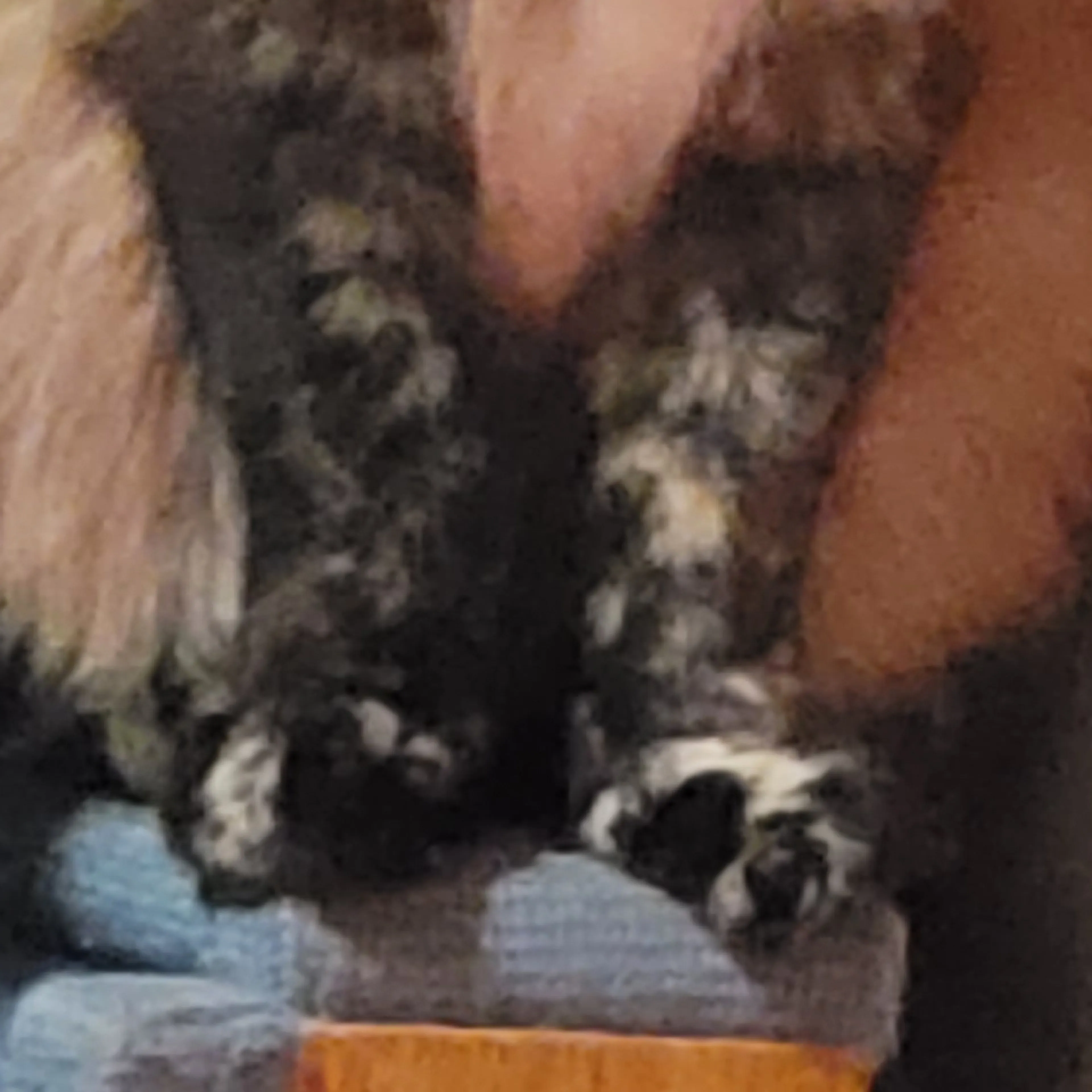 -3