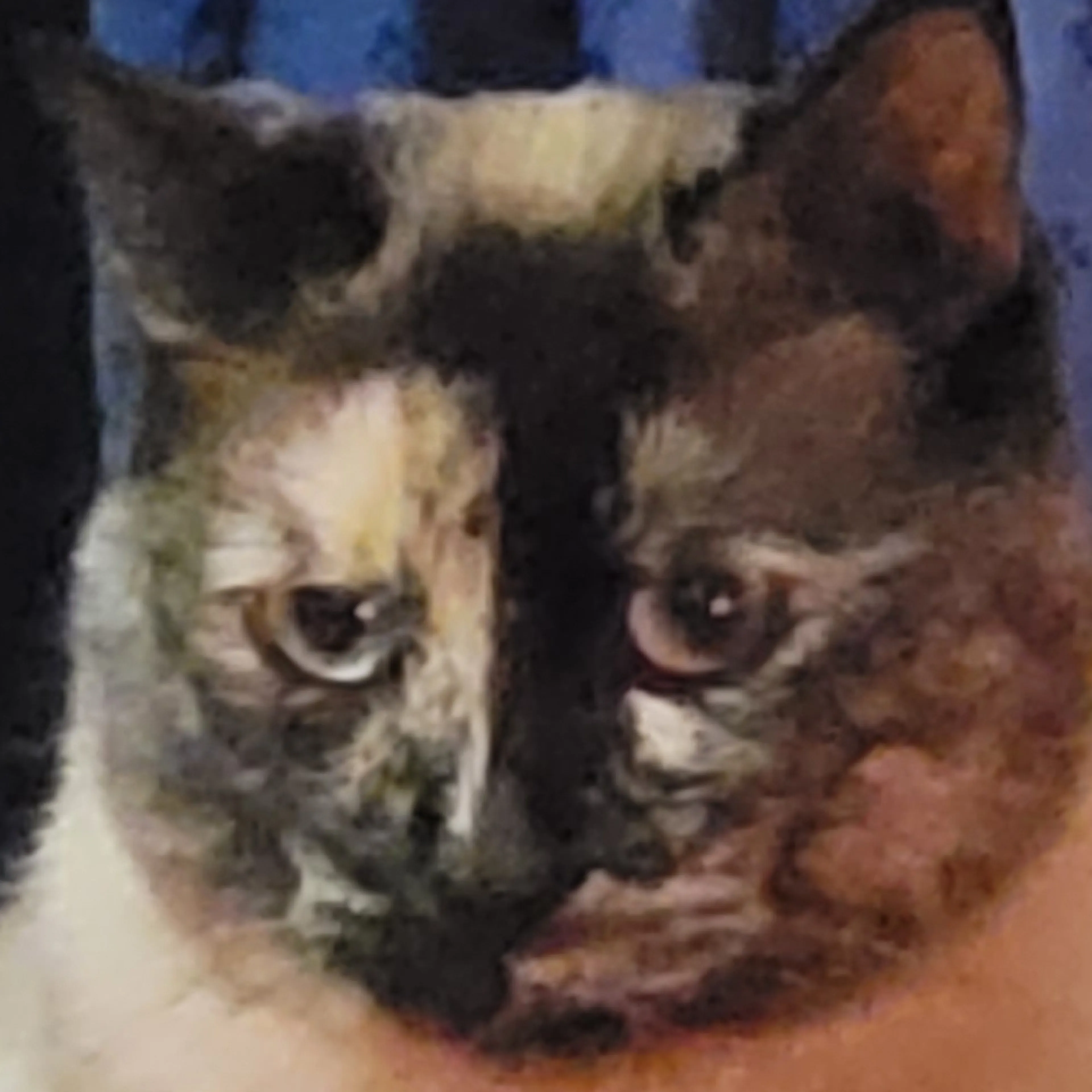 -2