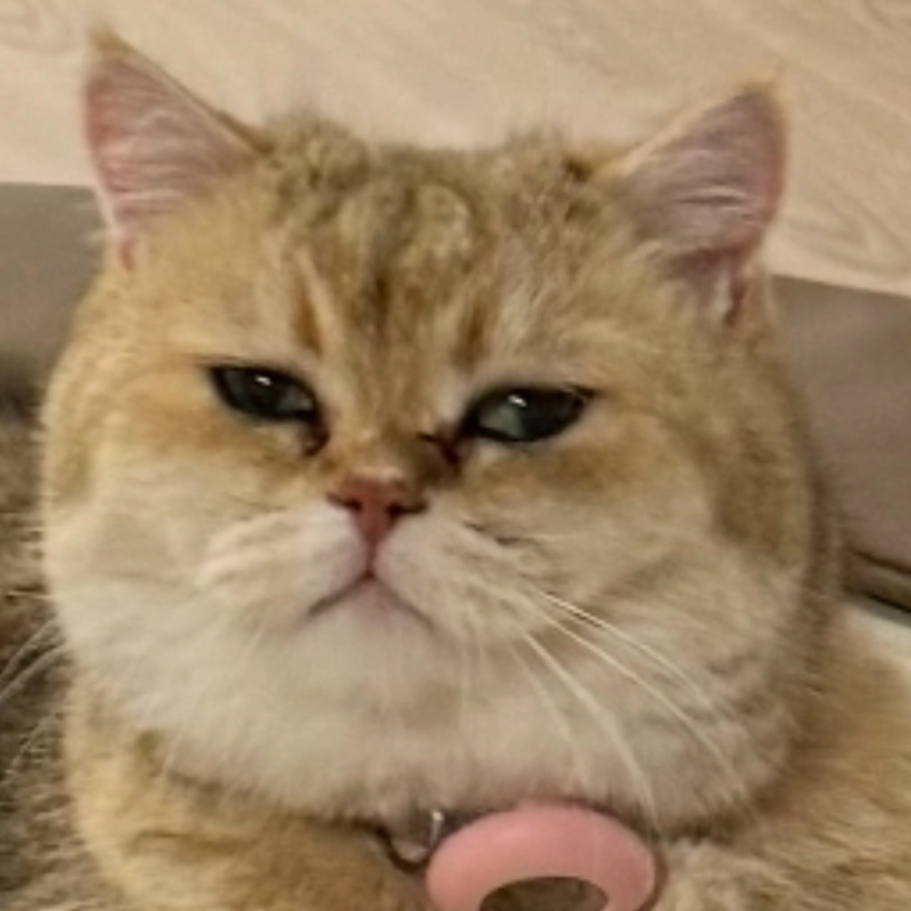 -1