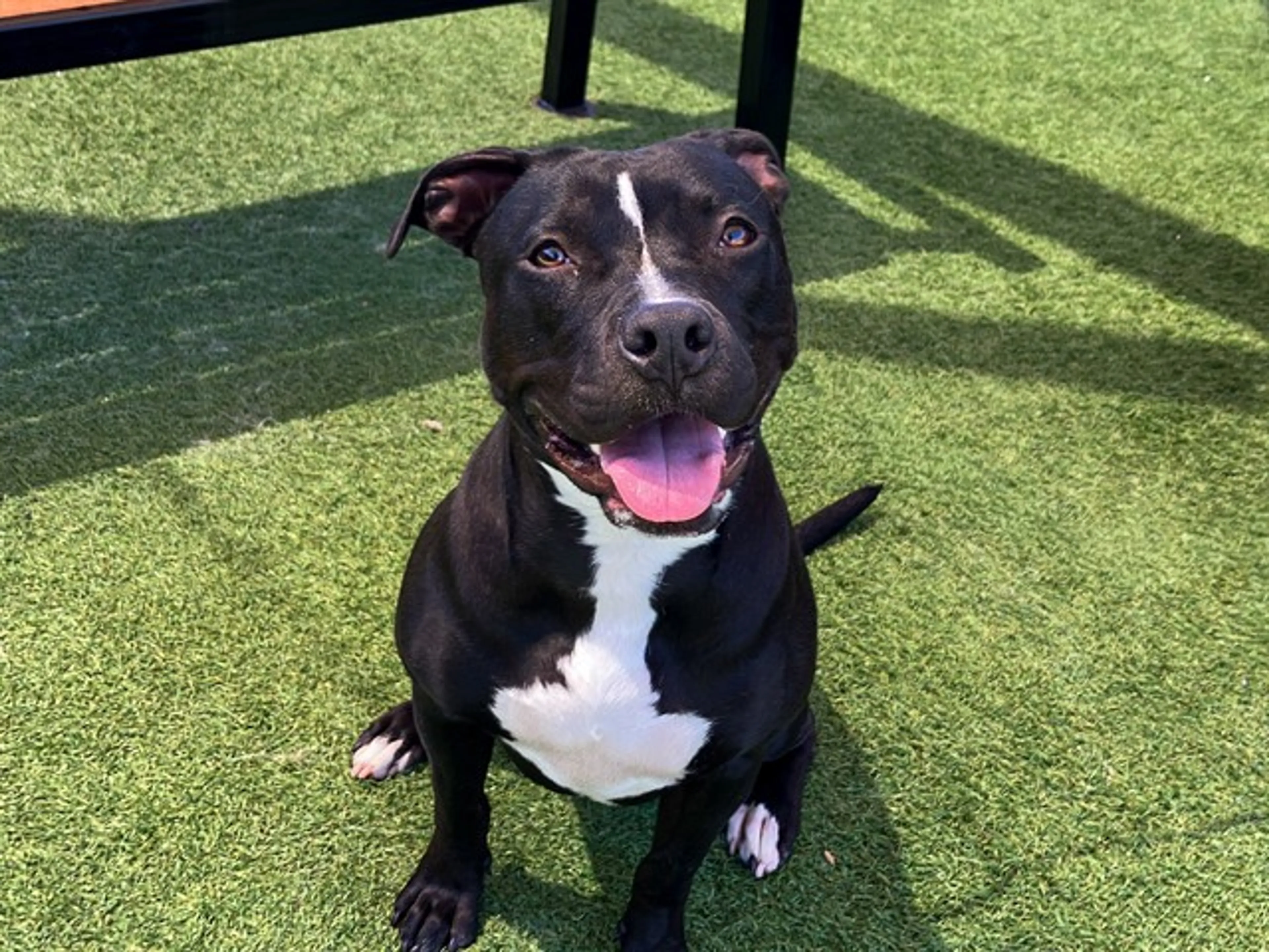 cdn image