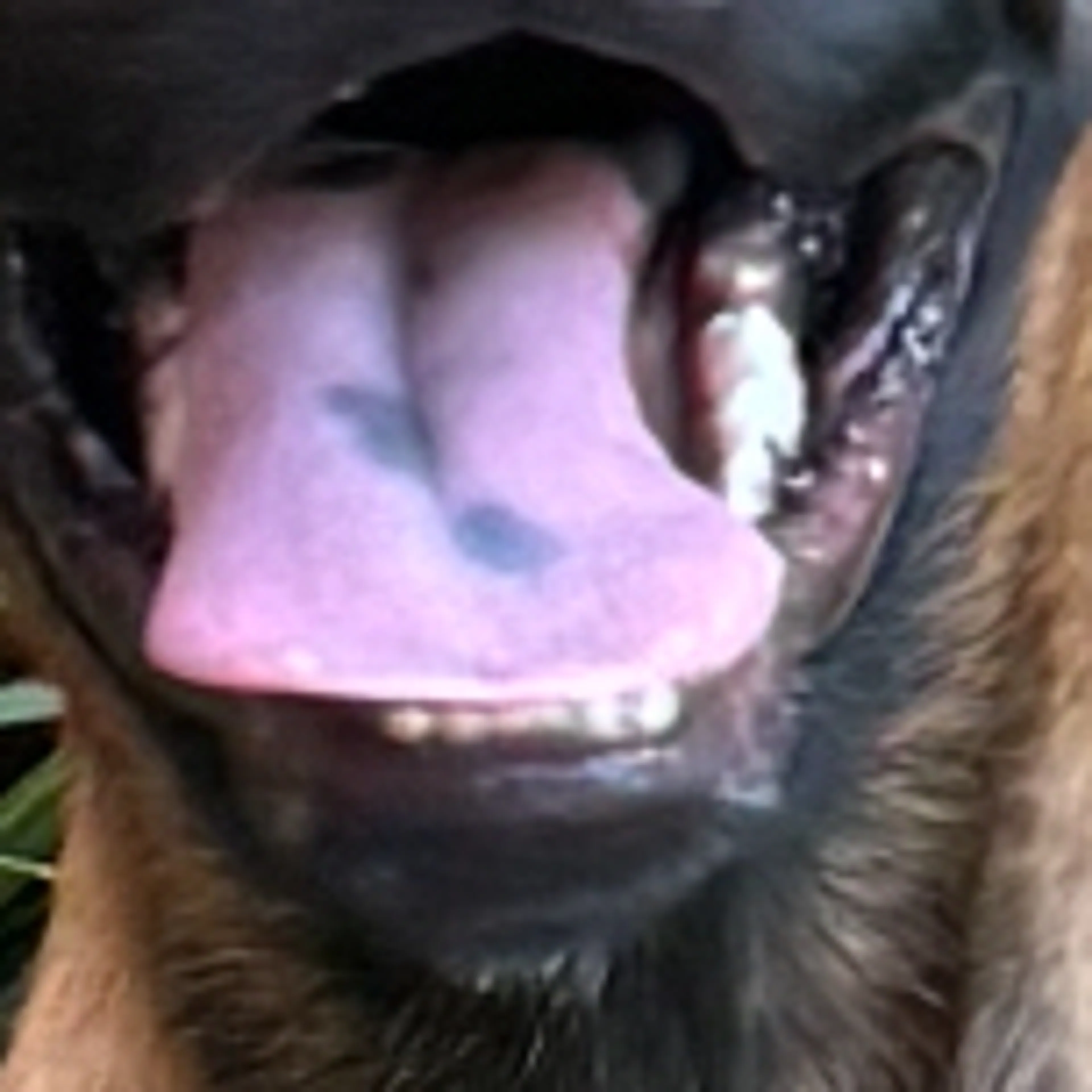 -3