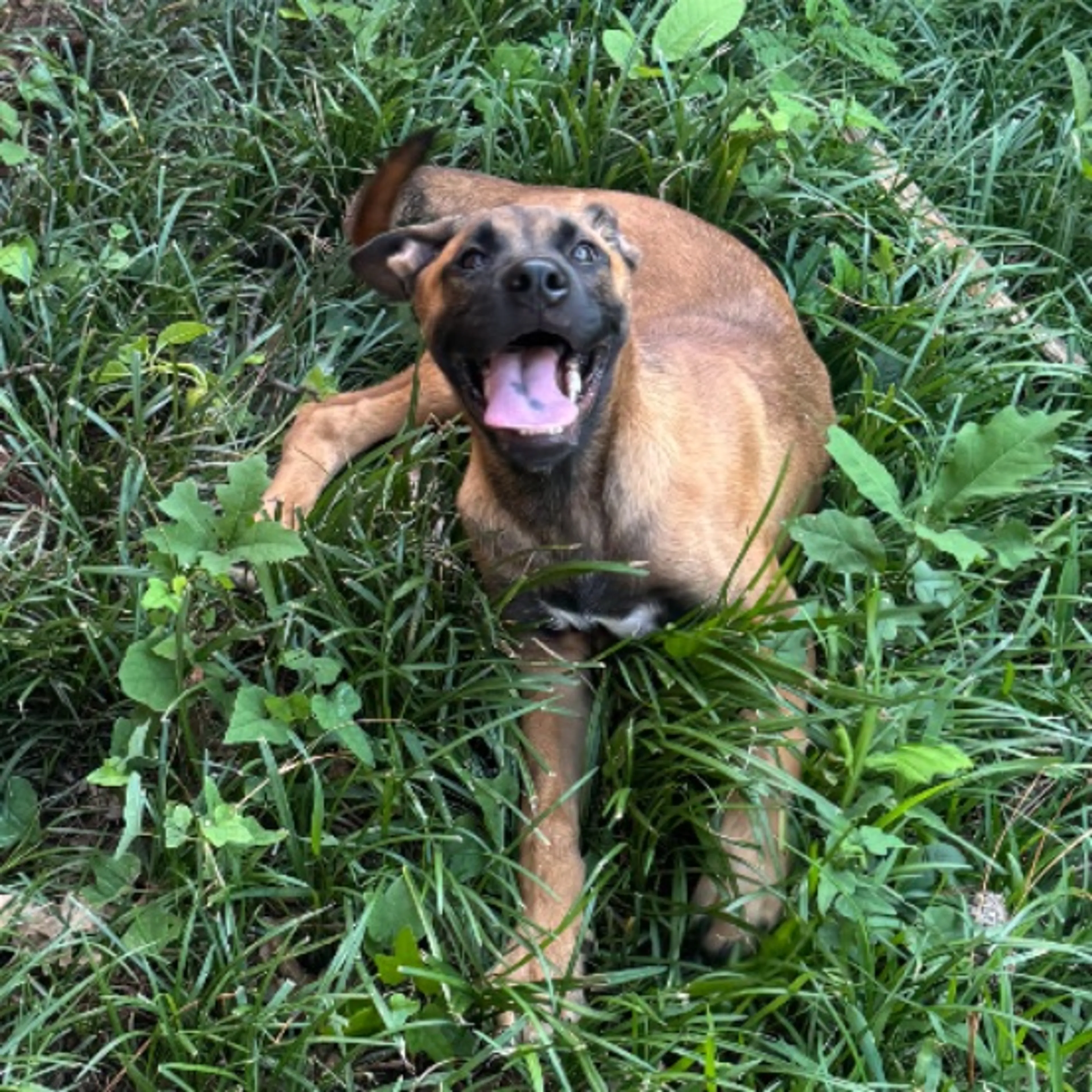 -0