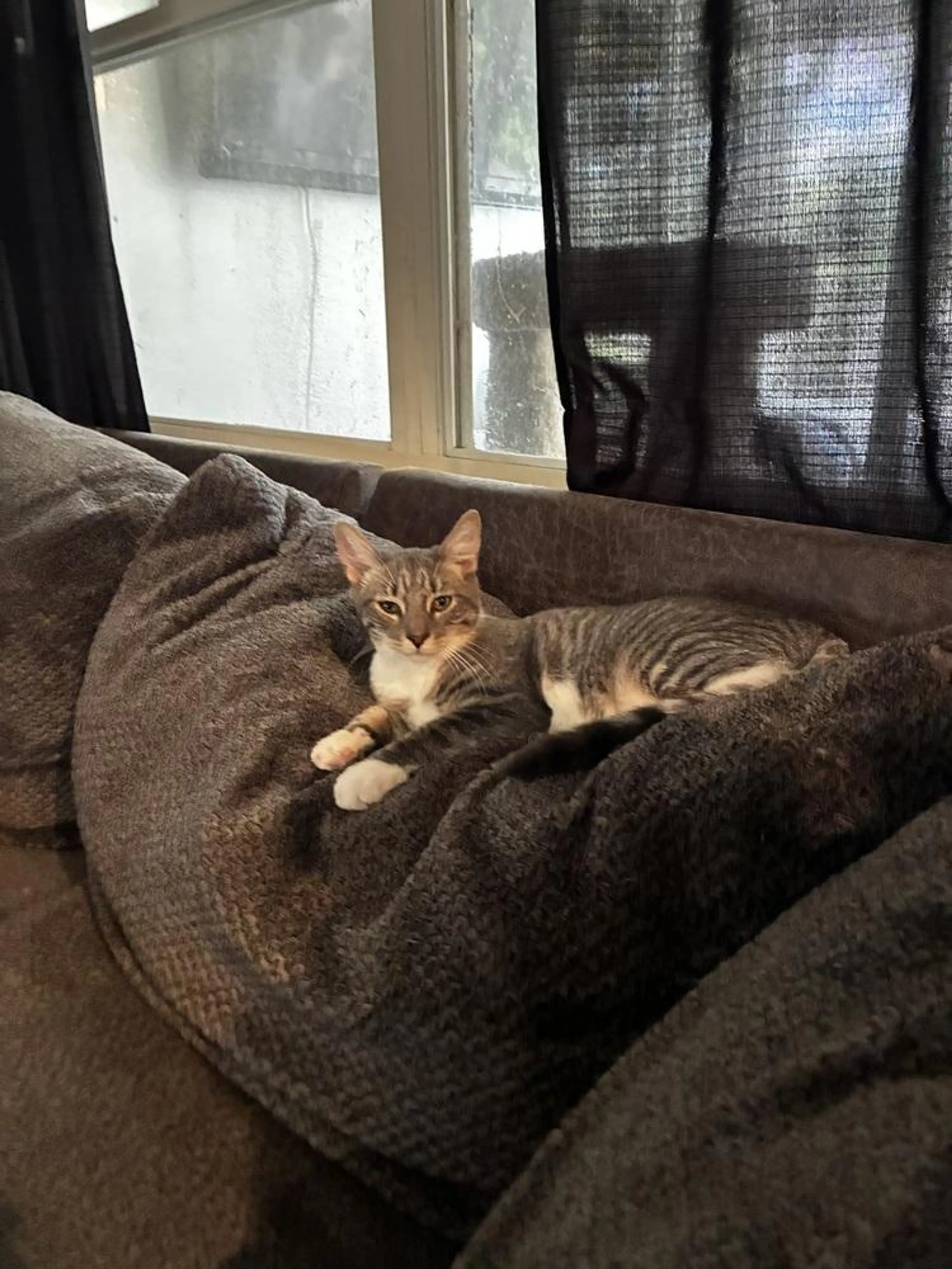 -0