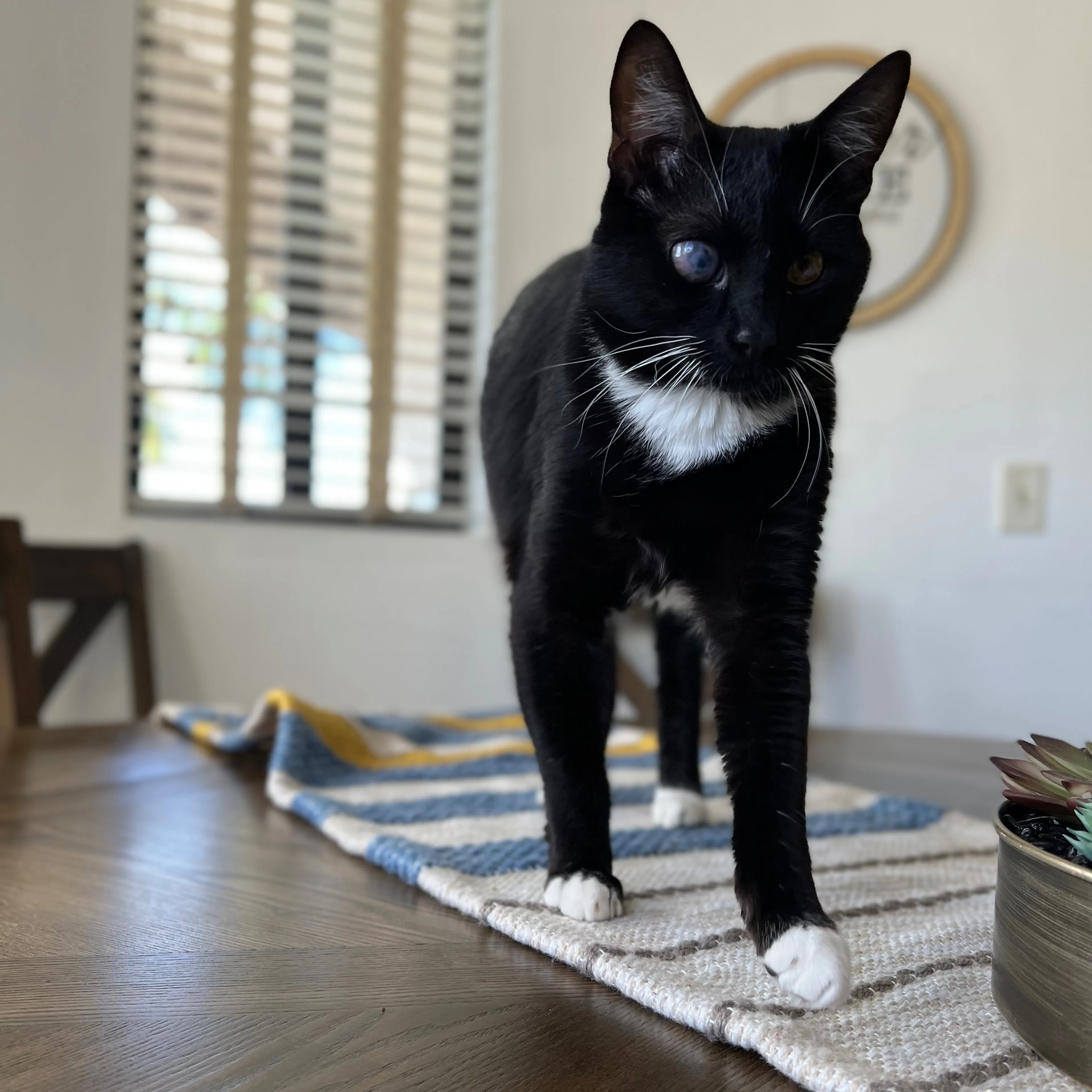 -1