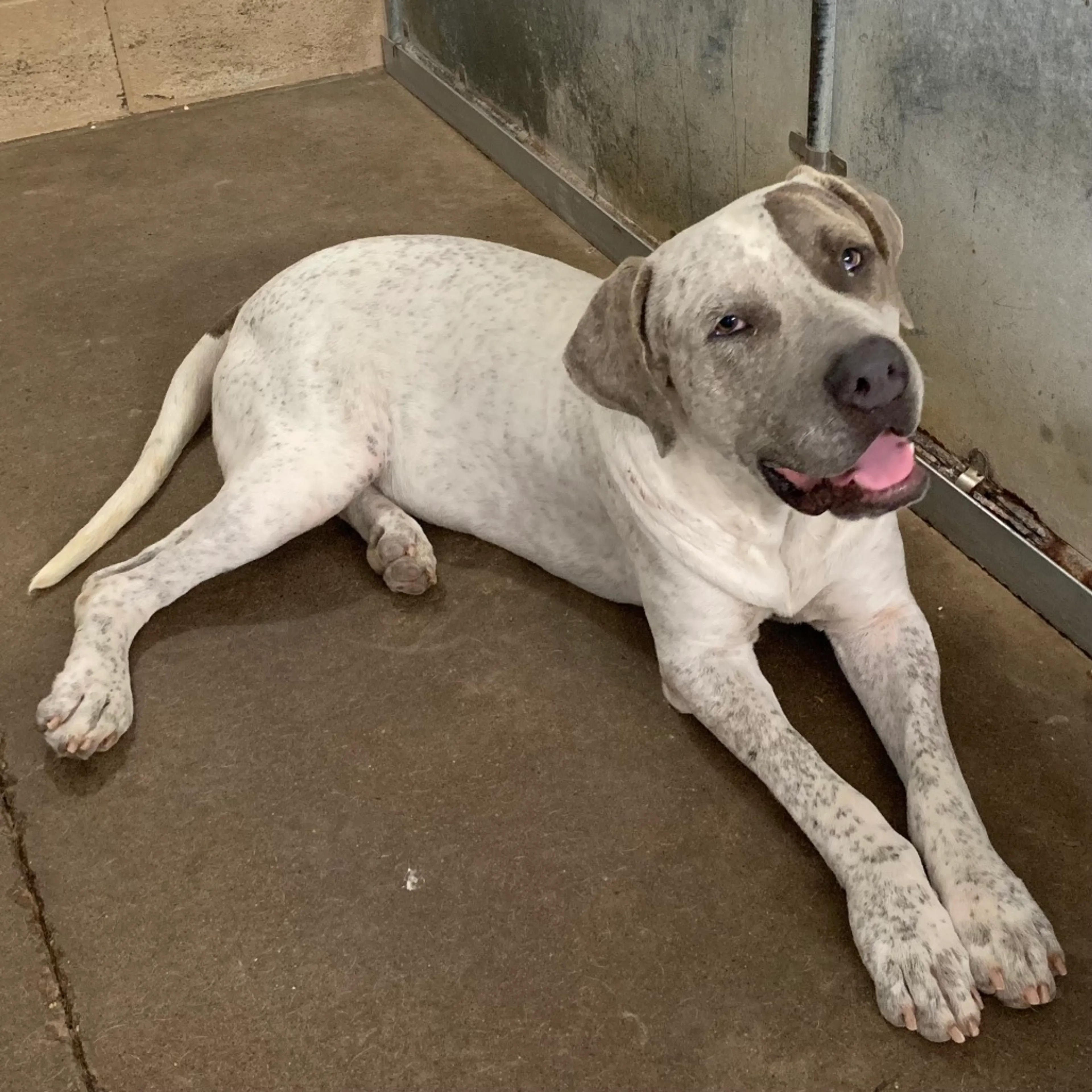 -0