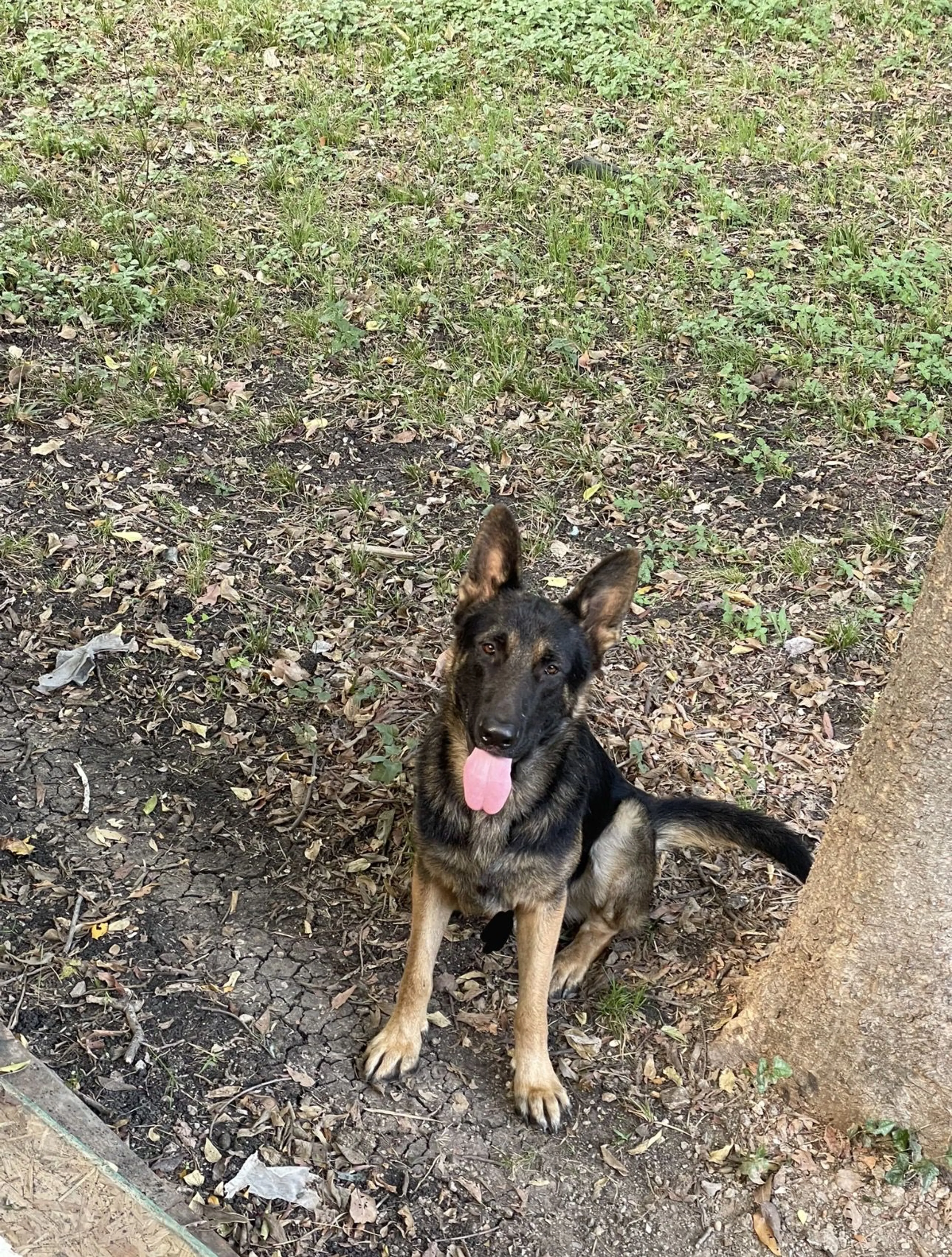 -0