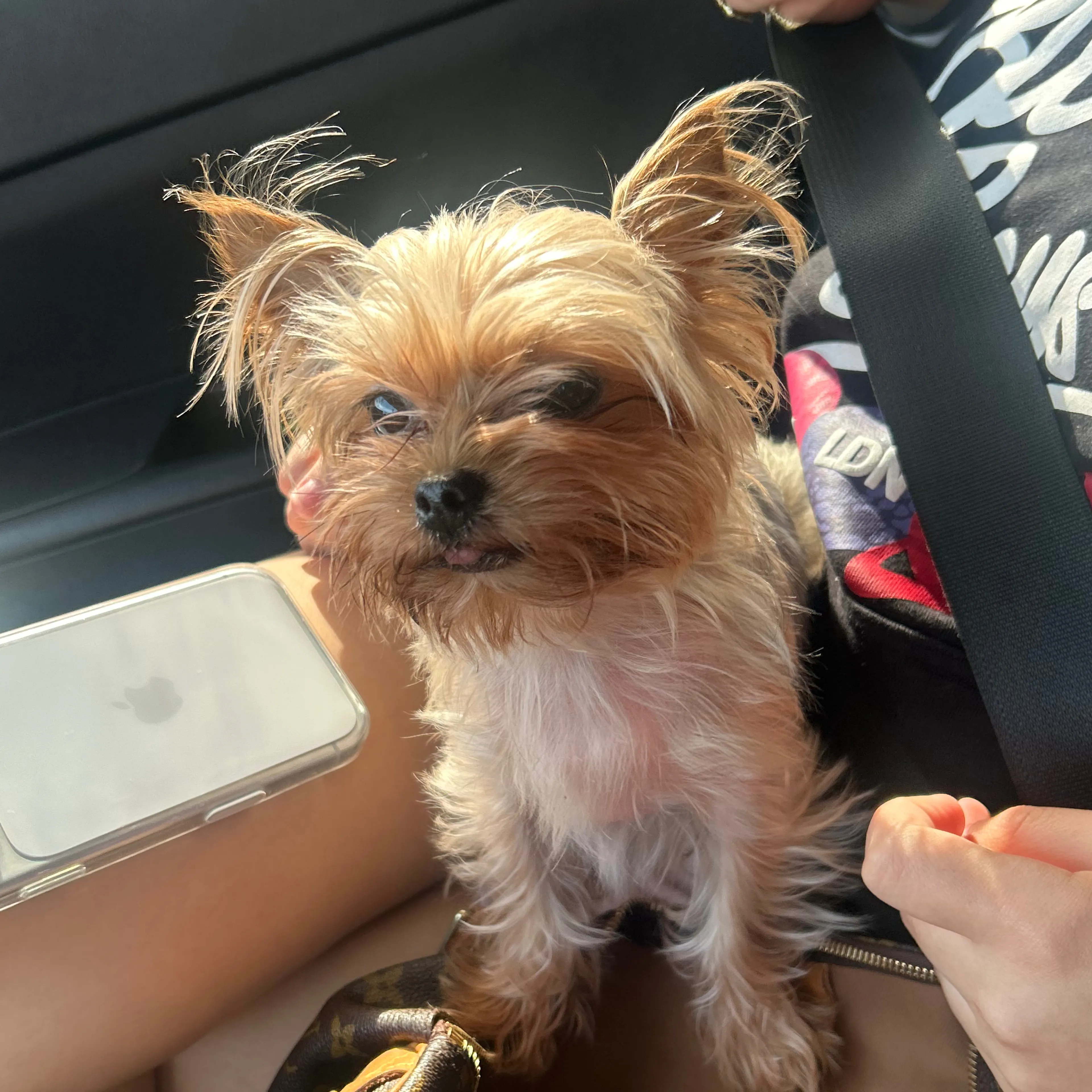 -1