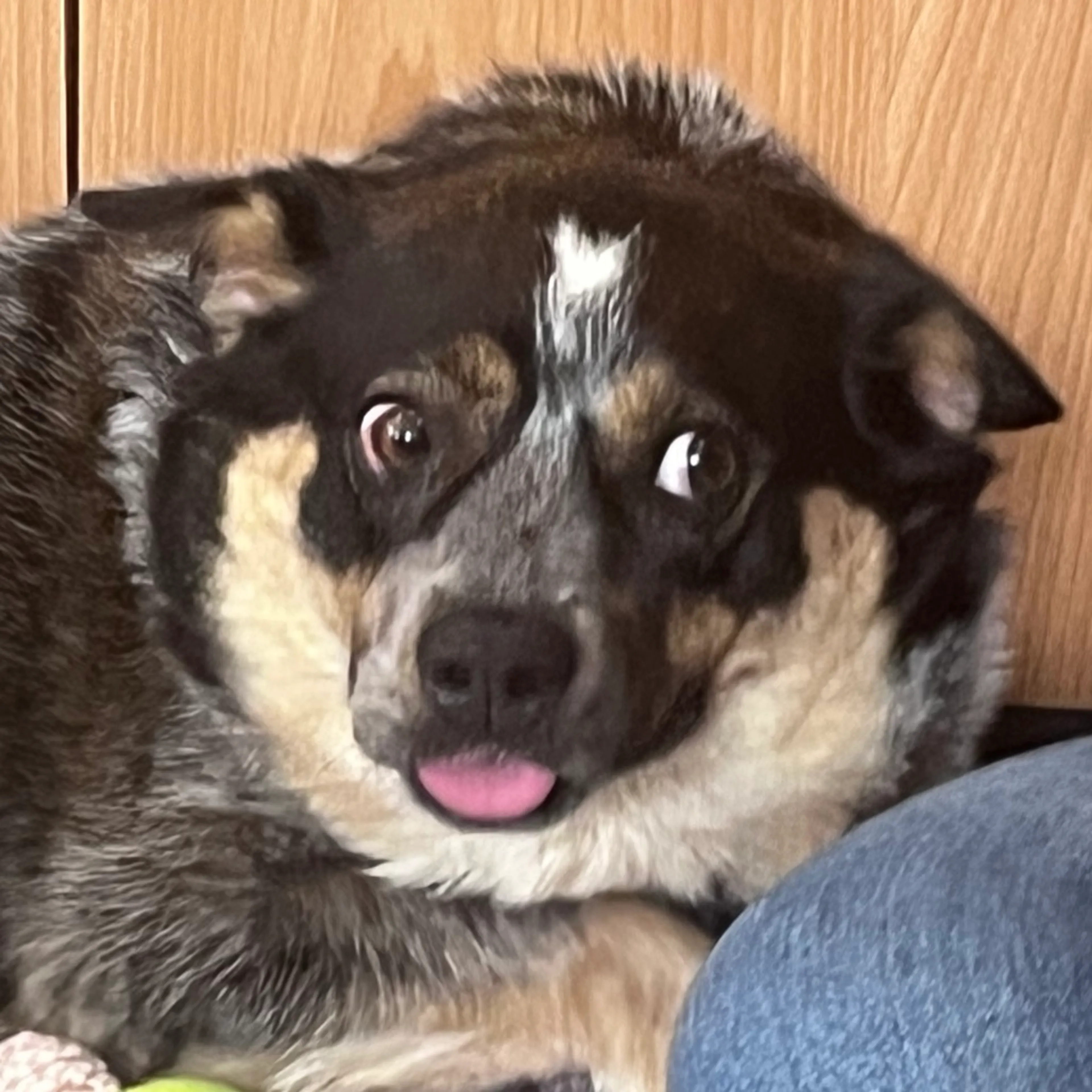 -4