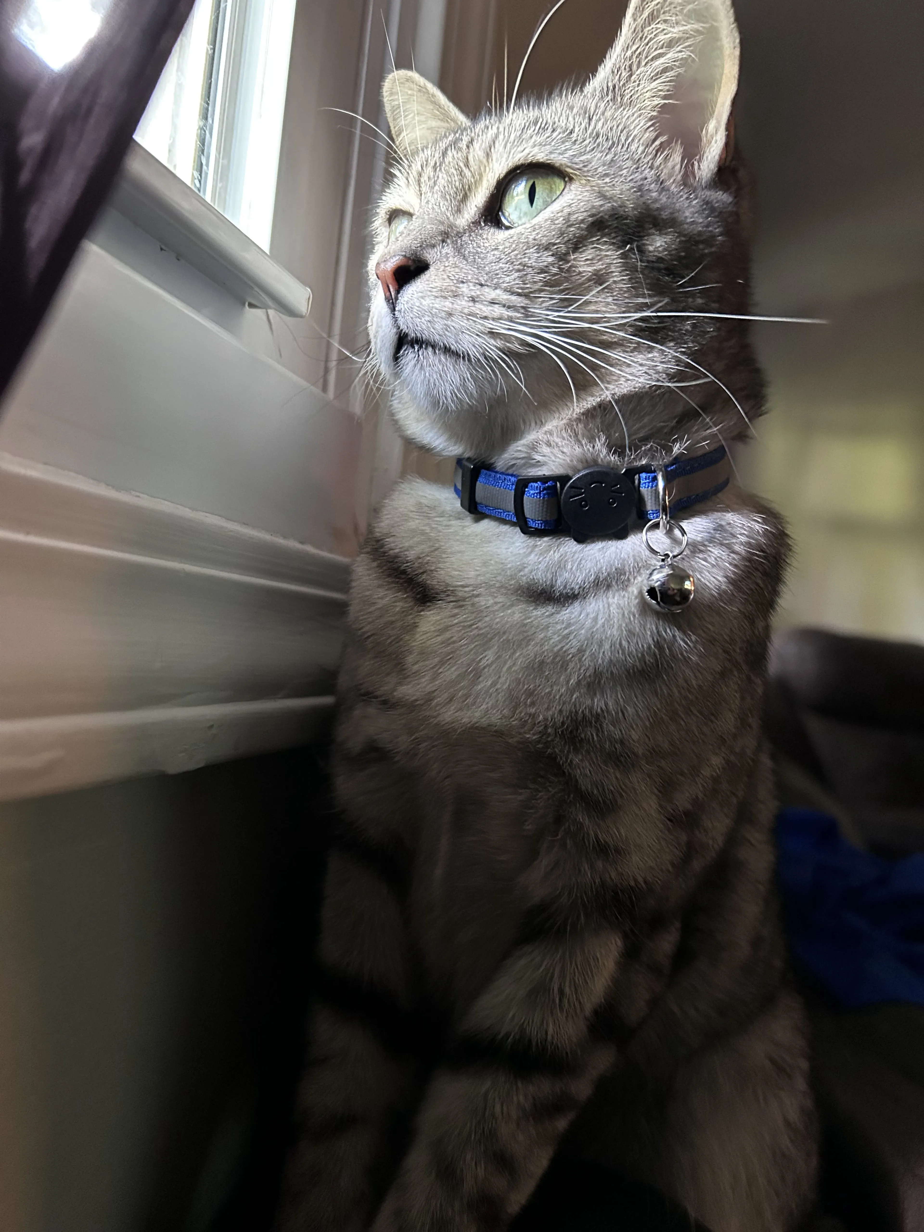 -1