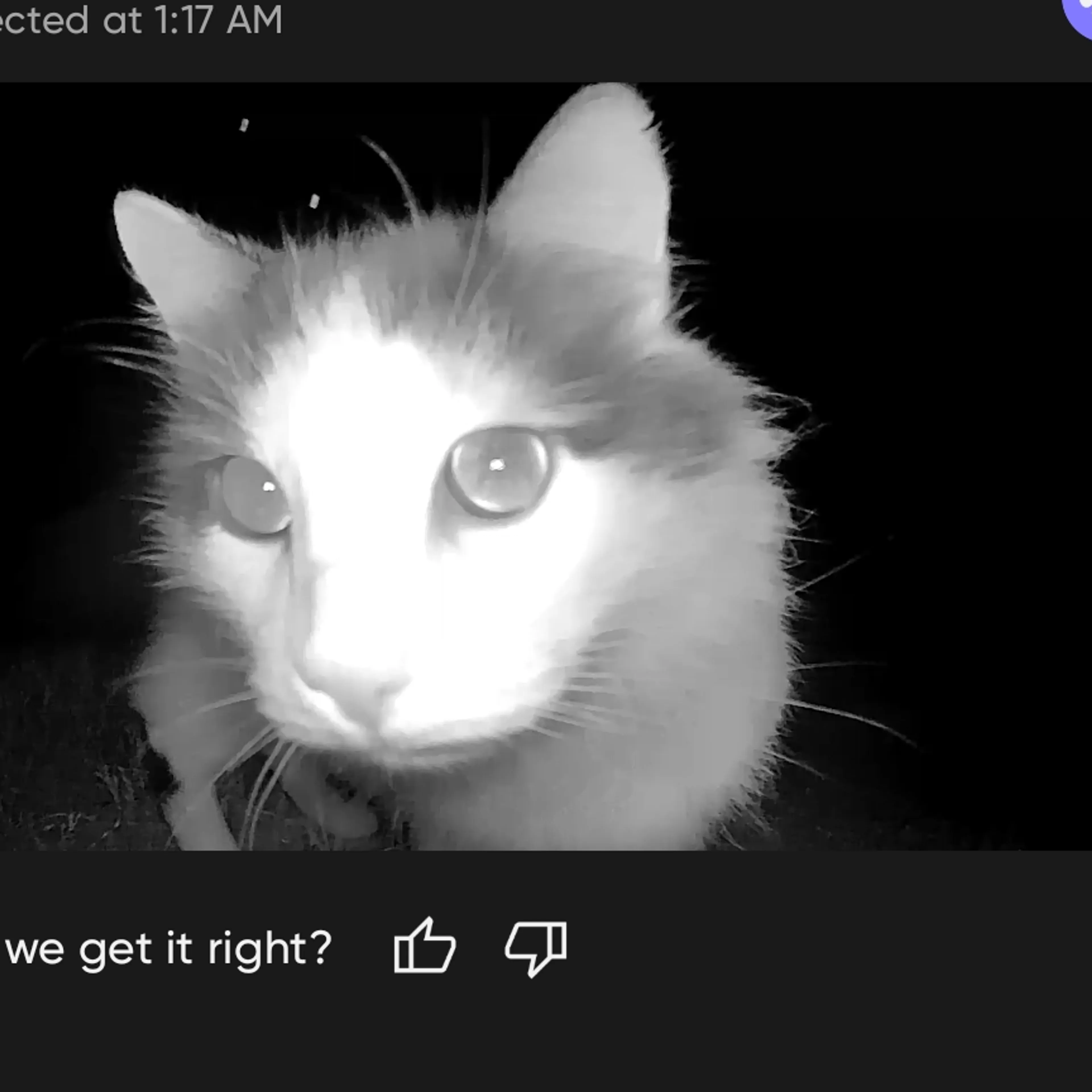 -1