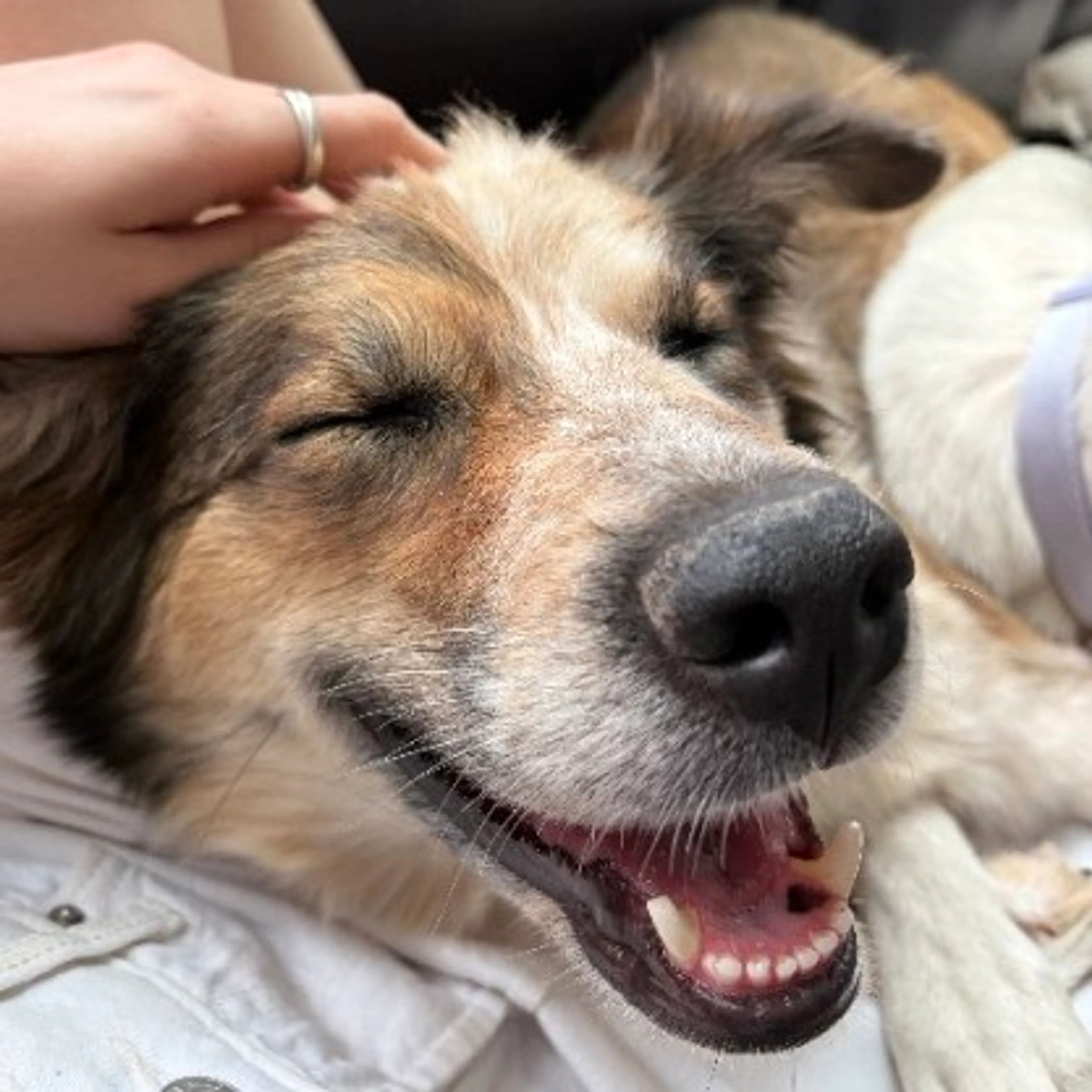 -3