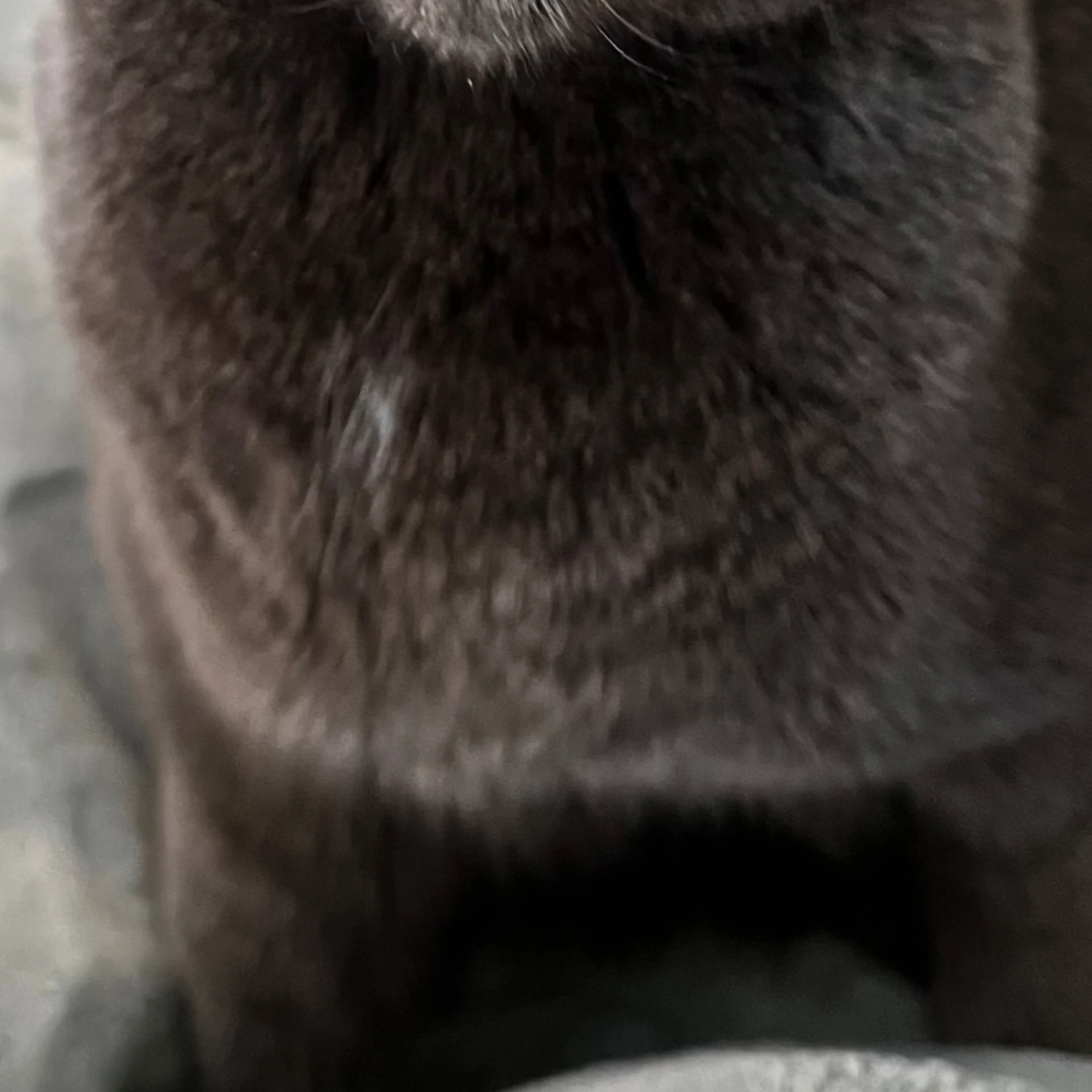 -3