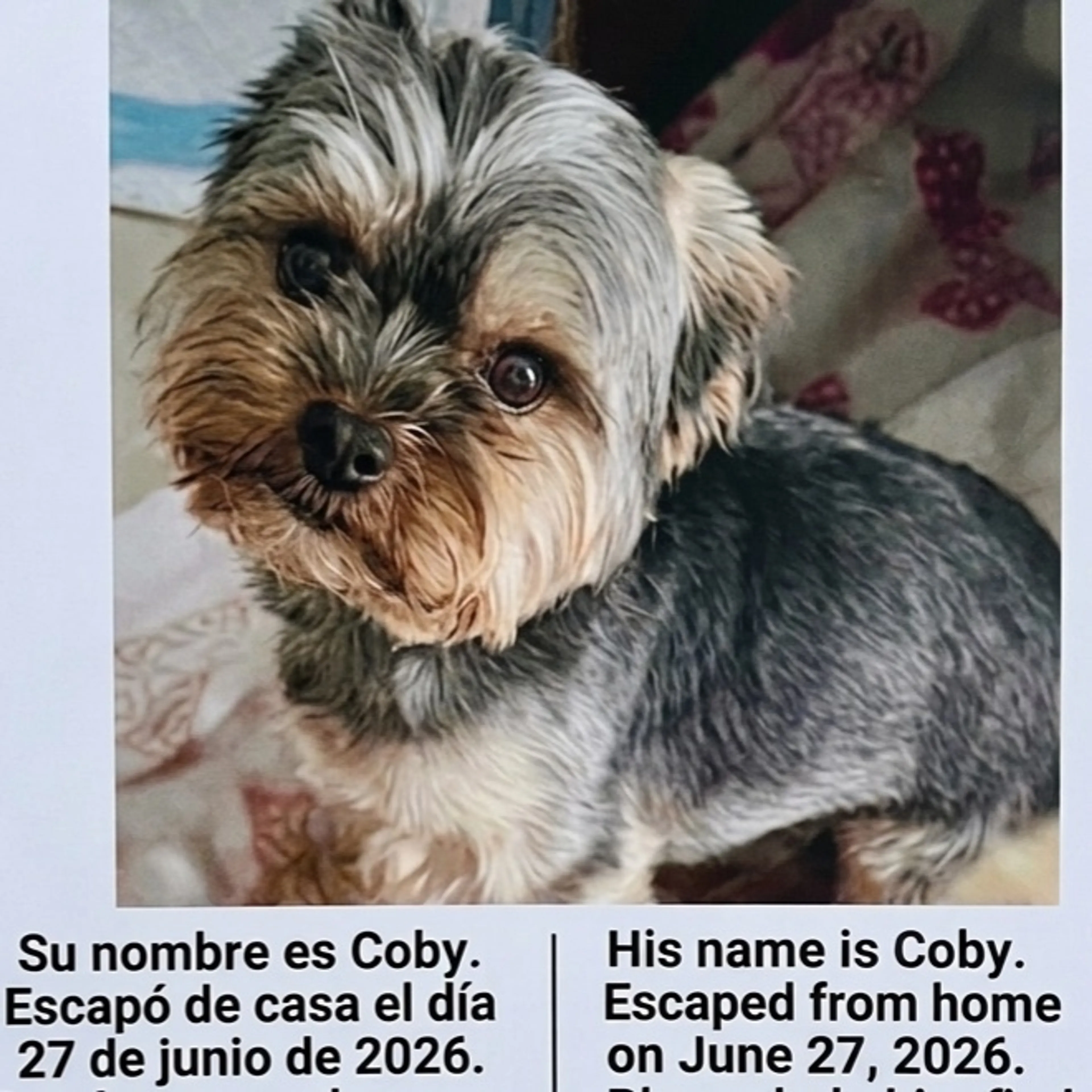 cdn image